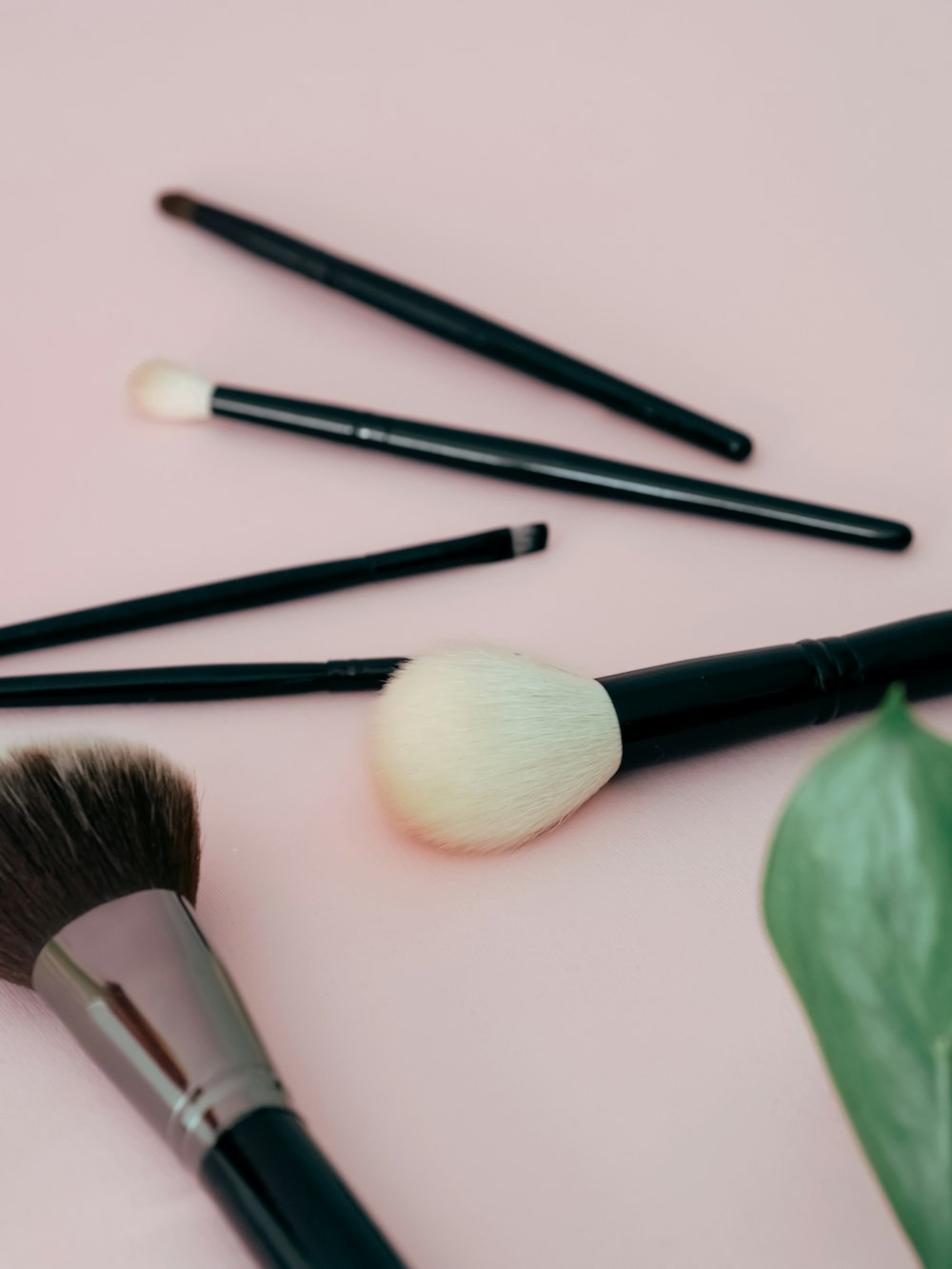 a close up of makeup brushes and a green leaf