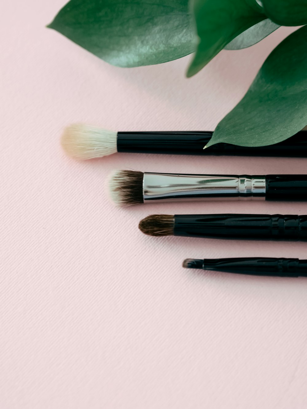 a pink background with three brushes and a green plant