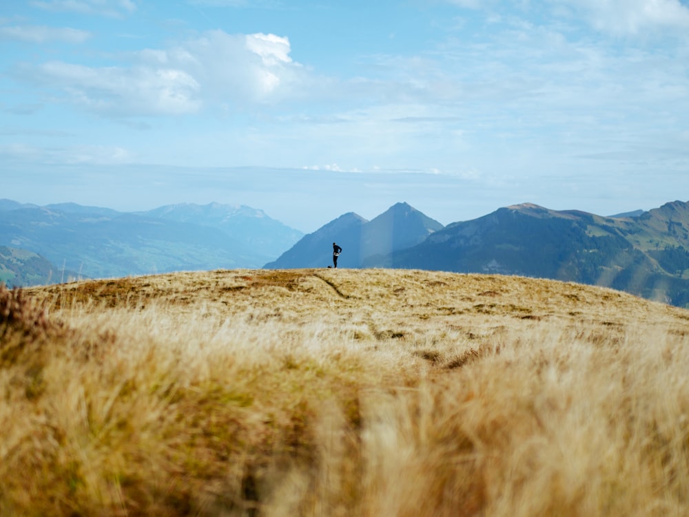 a person standing on top of a grass covered hill