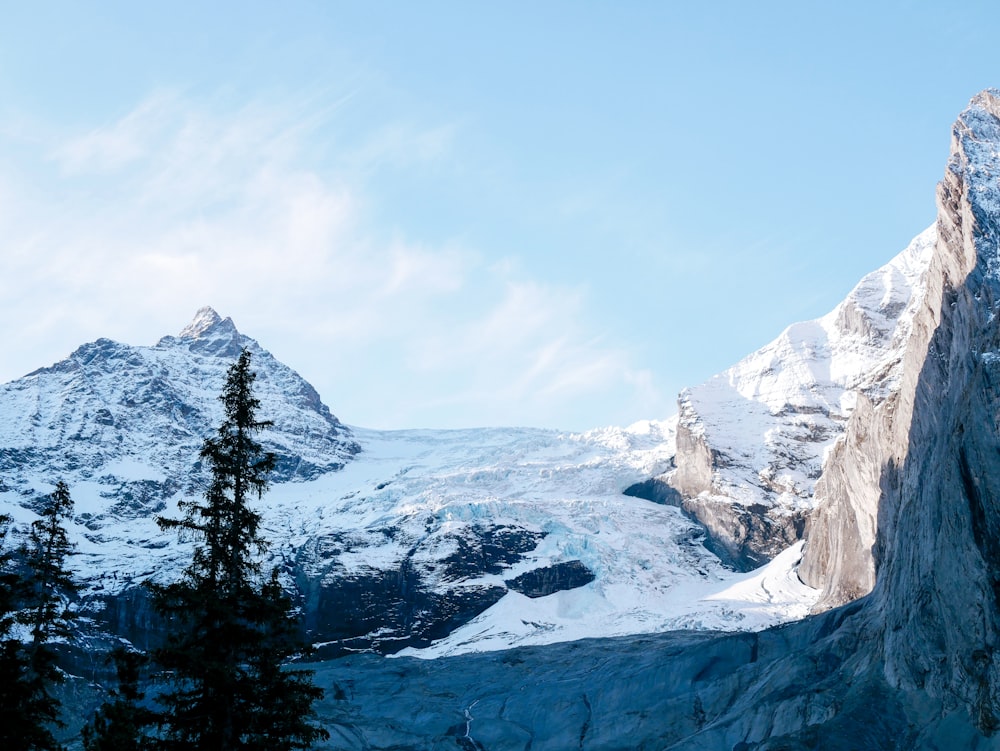 a snow covered mountain with trees in the foreground