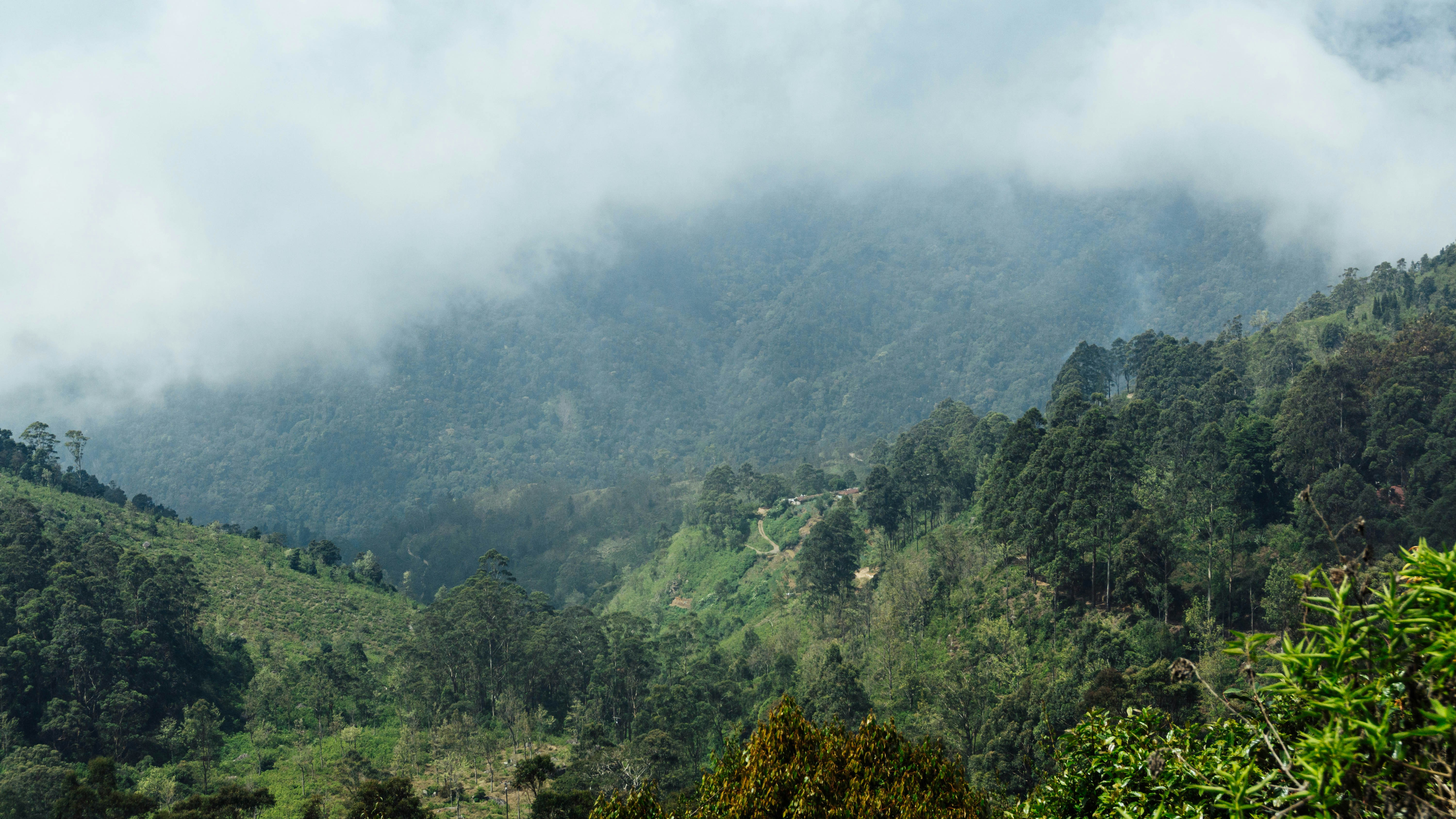 Photo by anainsomnia