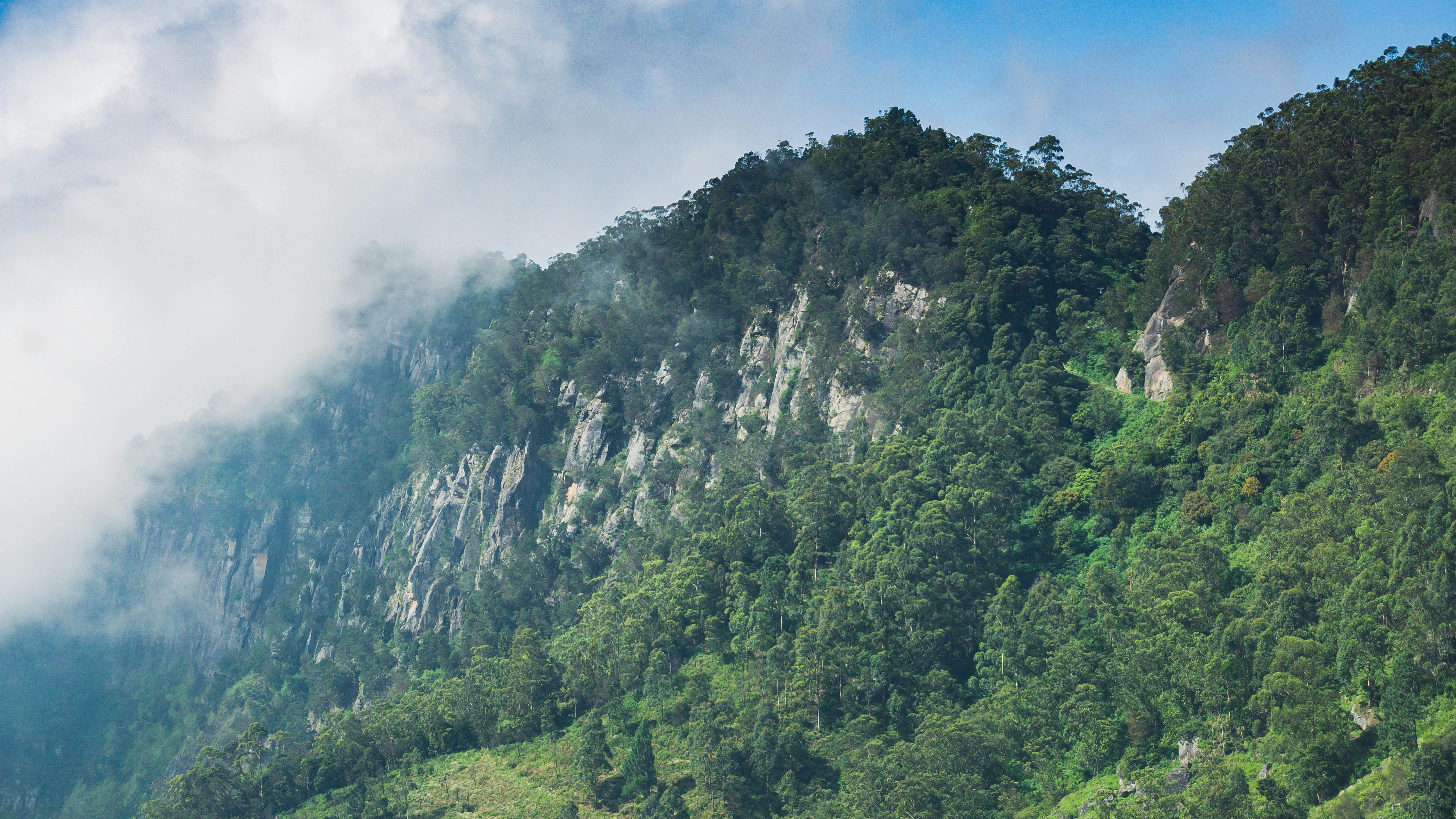 Photo by anainsomnia