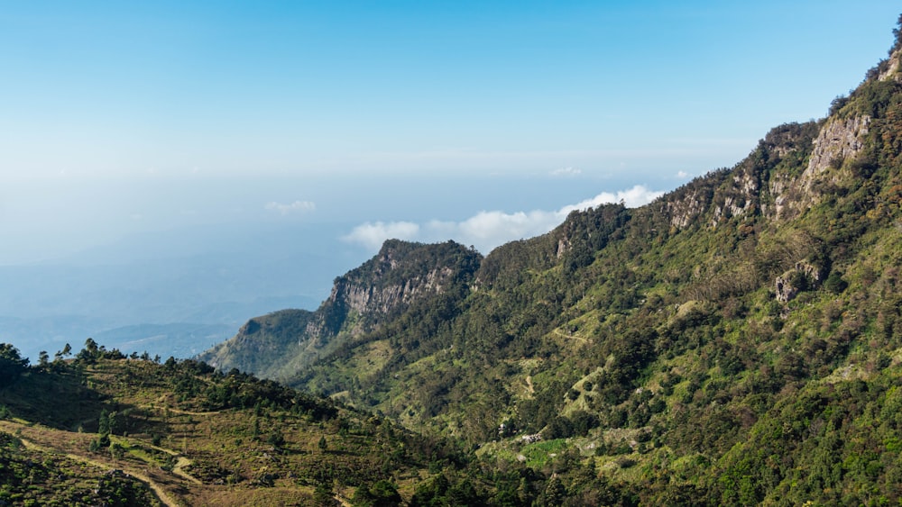 a view of a valley with a mountain in the background