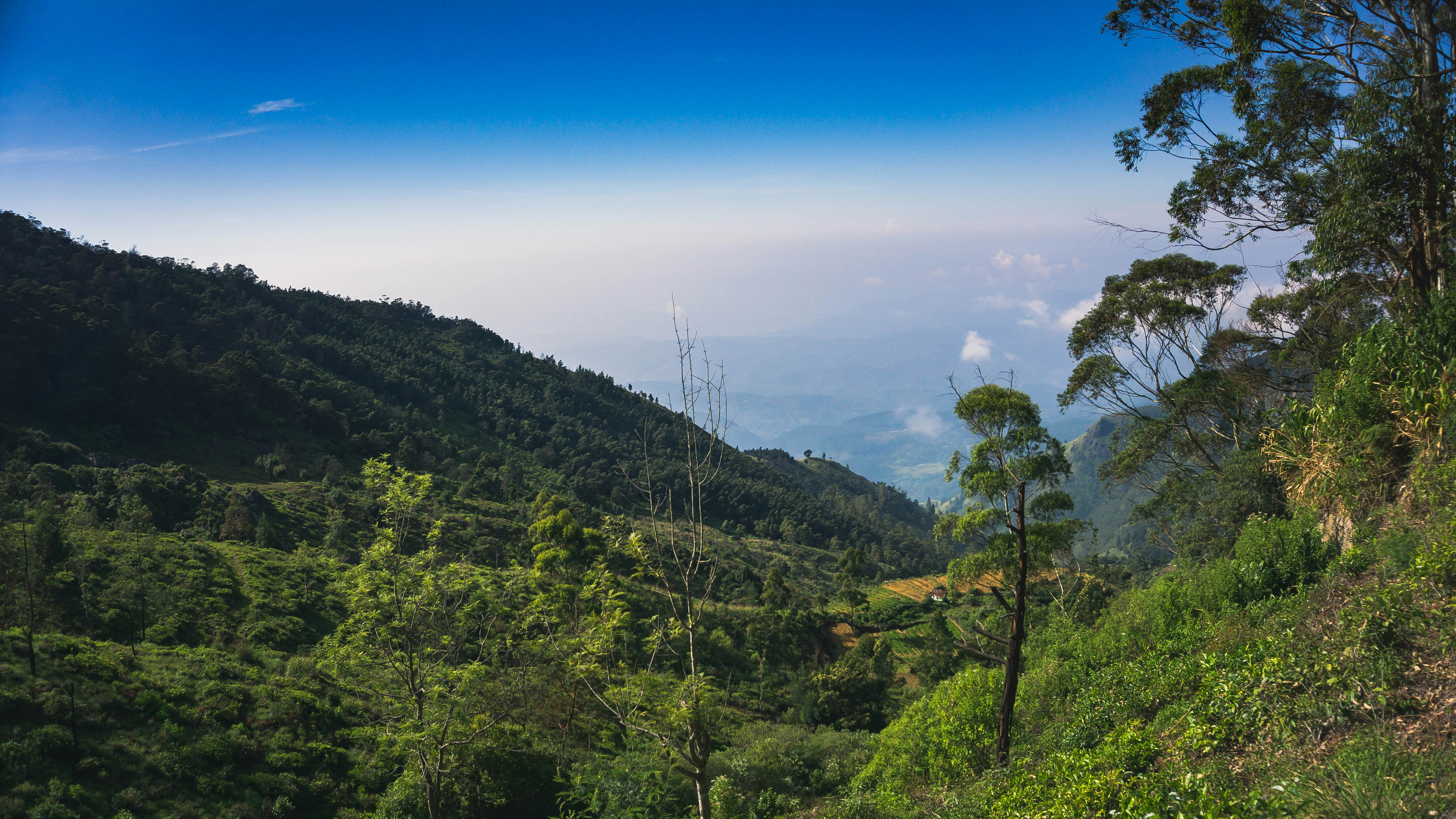 Photo by anainsomnia