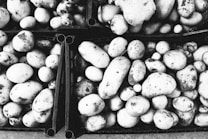 A collection of potatoes with dirt on their surfaces is arranged in crates, displaying a variety of sizes and round to oval shapes. The image is in black and white, emphasizing the textures and contrasts of the potatoes and the crates.