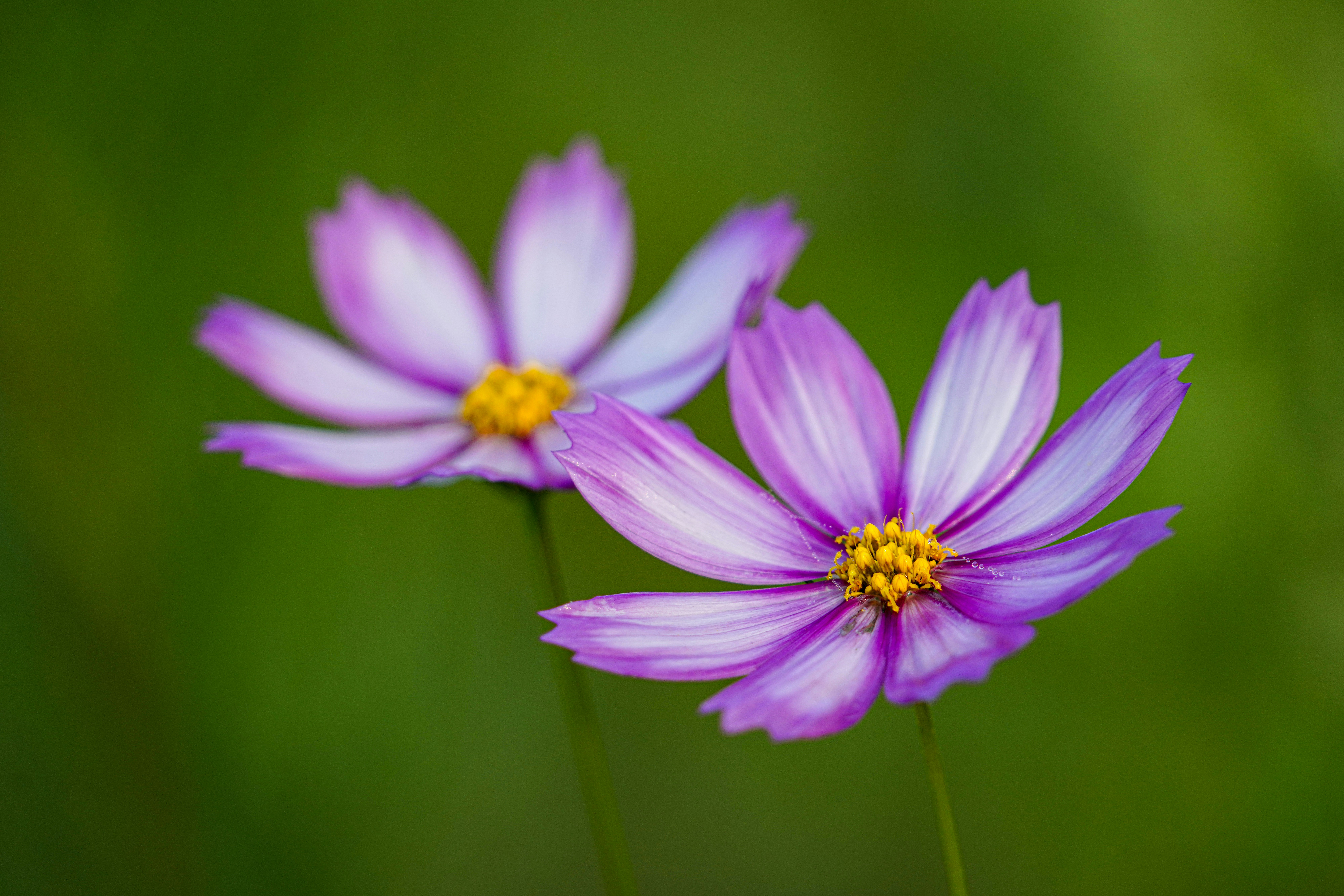 Photo by kim_dae_jeung