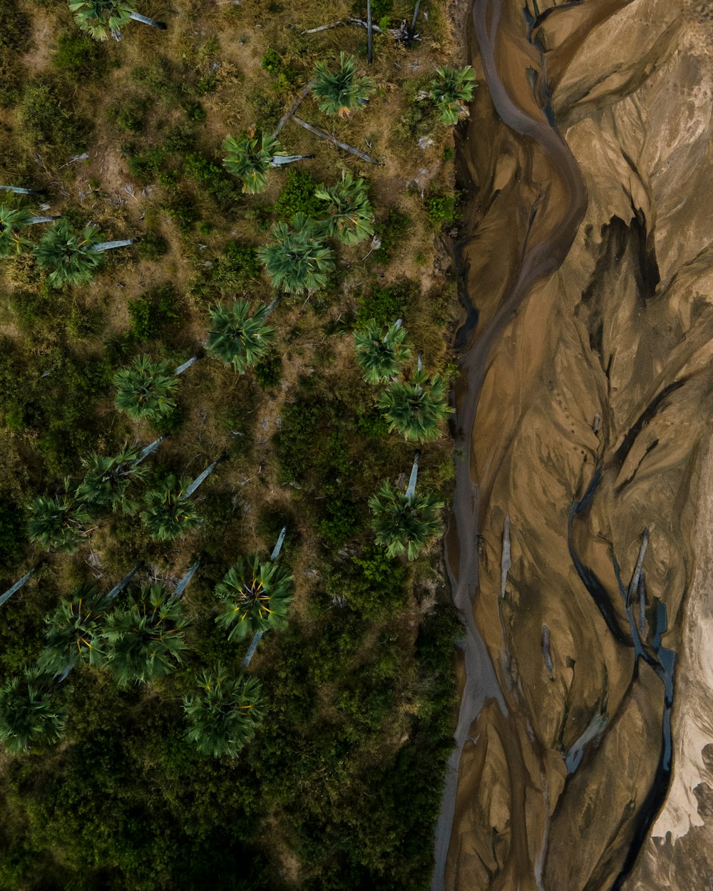 a bird's eye view of a river running through a forest