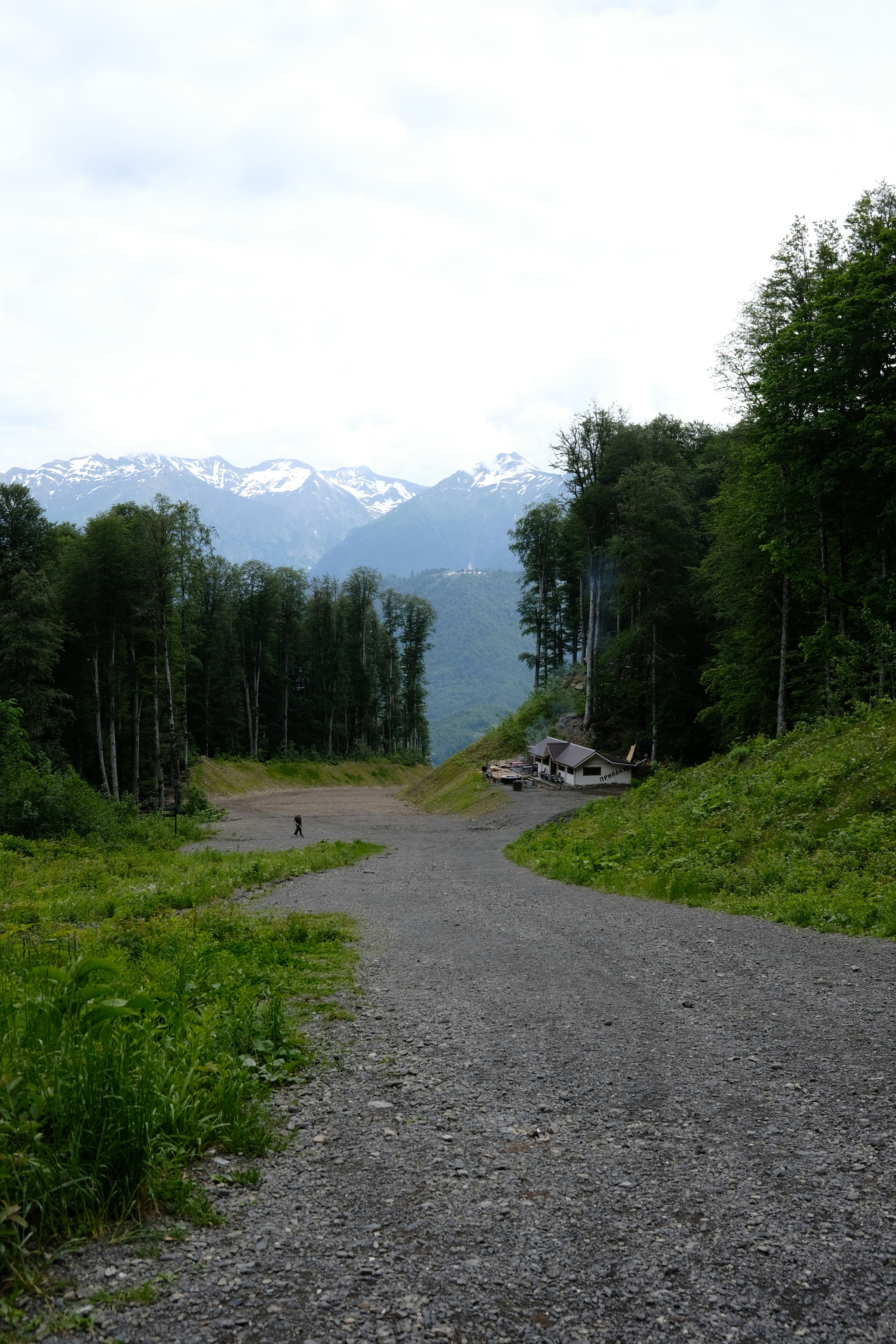 a person walking down a dirt road in the woods
