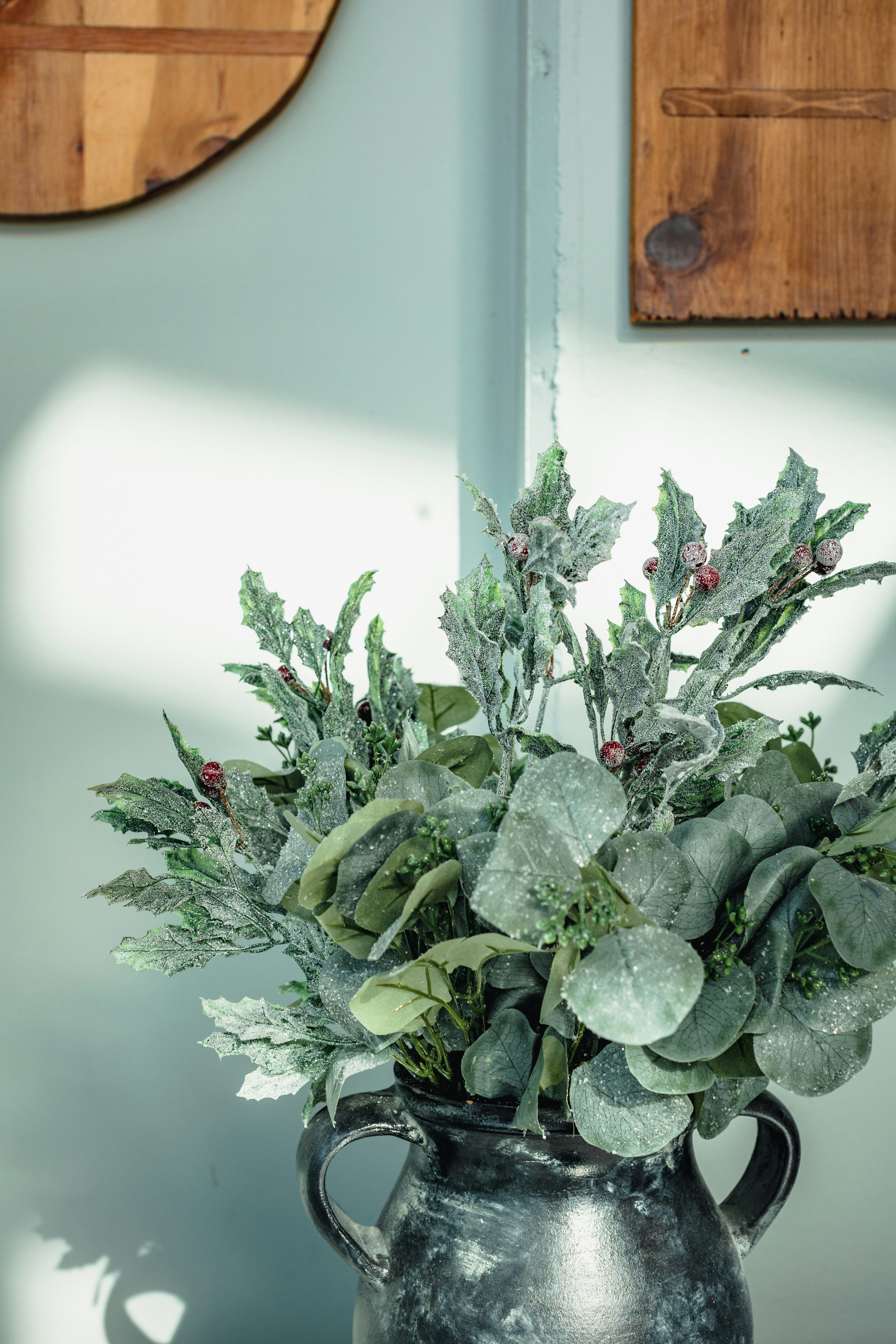 10 Best Plants Fridge Varieties That Look Great in Any Kitchen