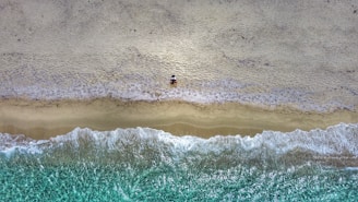 an aerial view of a beach and ocean