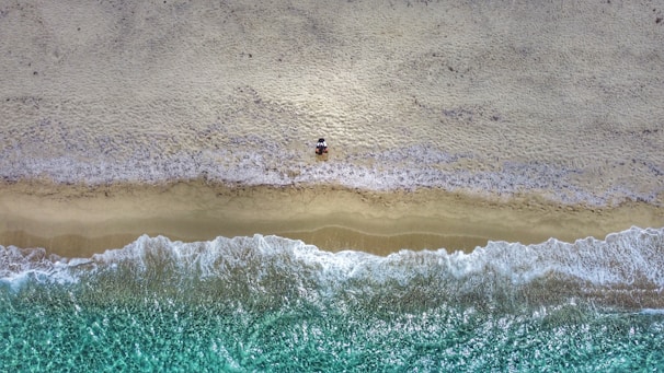 an aerial view of a beach and ocean