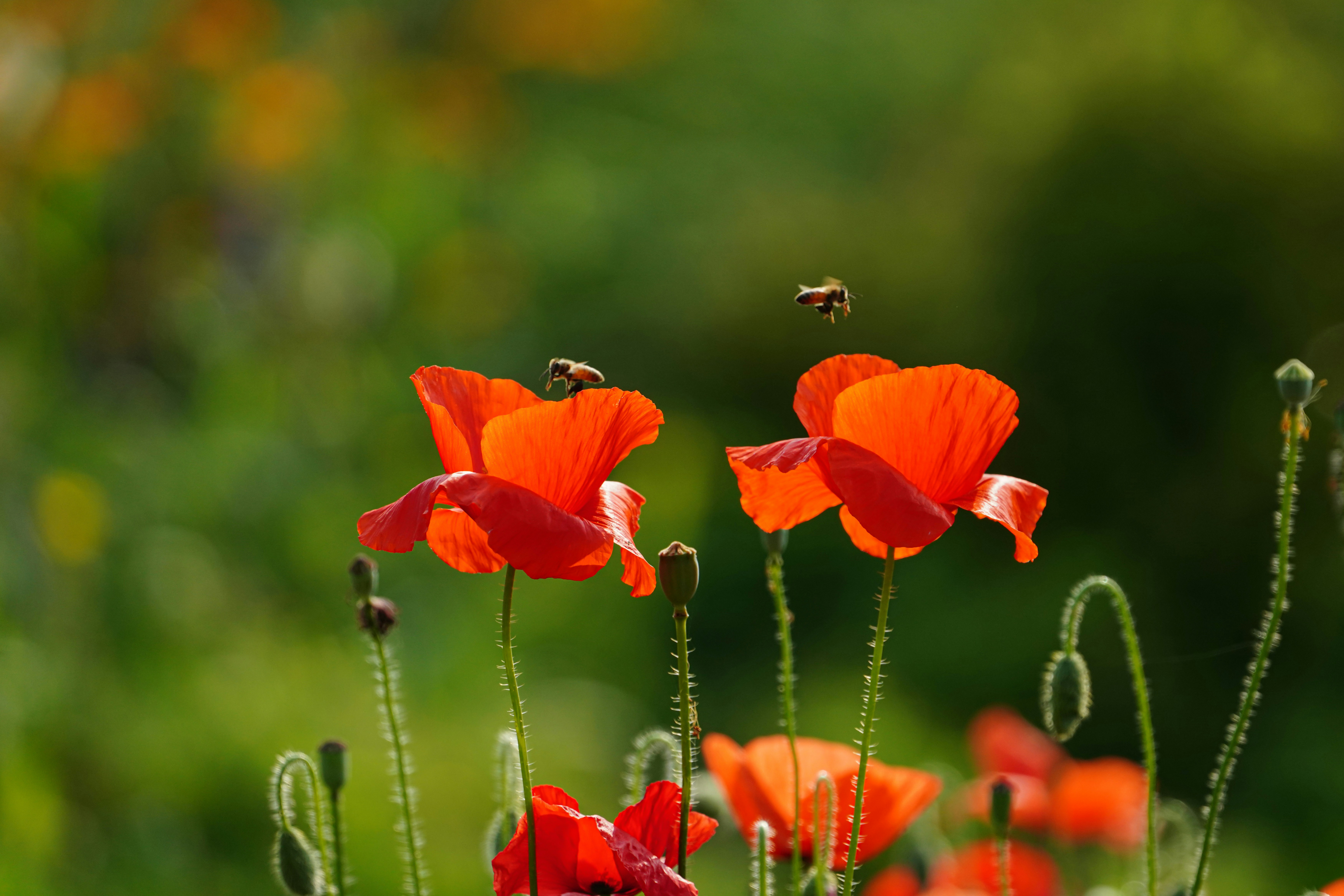 Photo by kim_dae_jeung