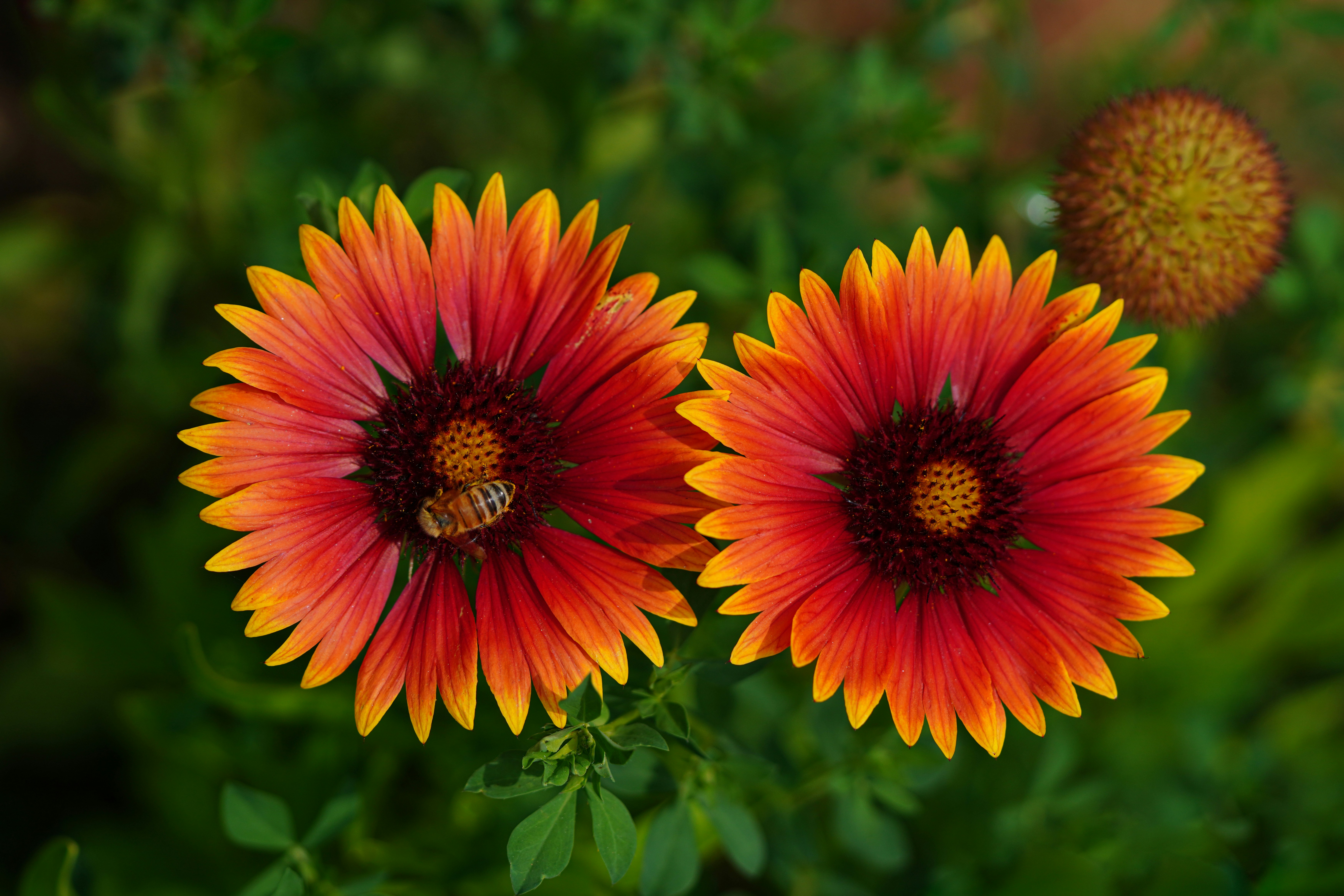 Photo by kim_dae_jeung