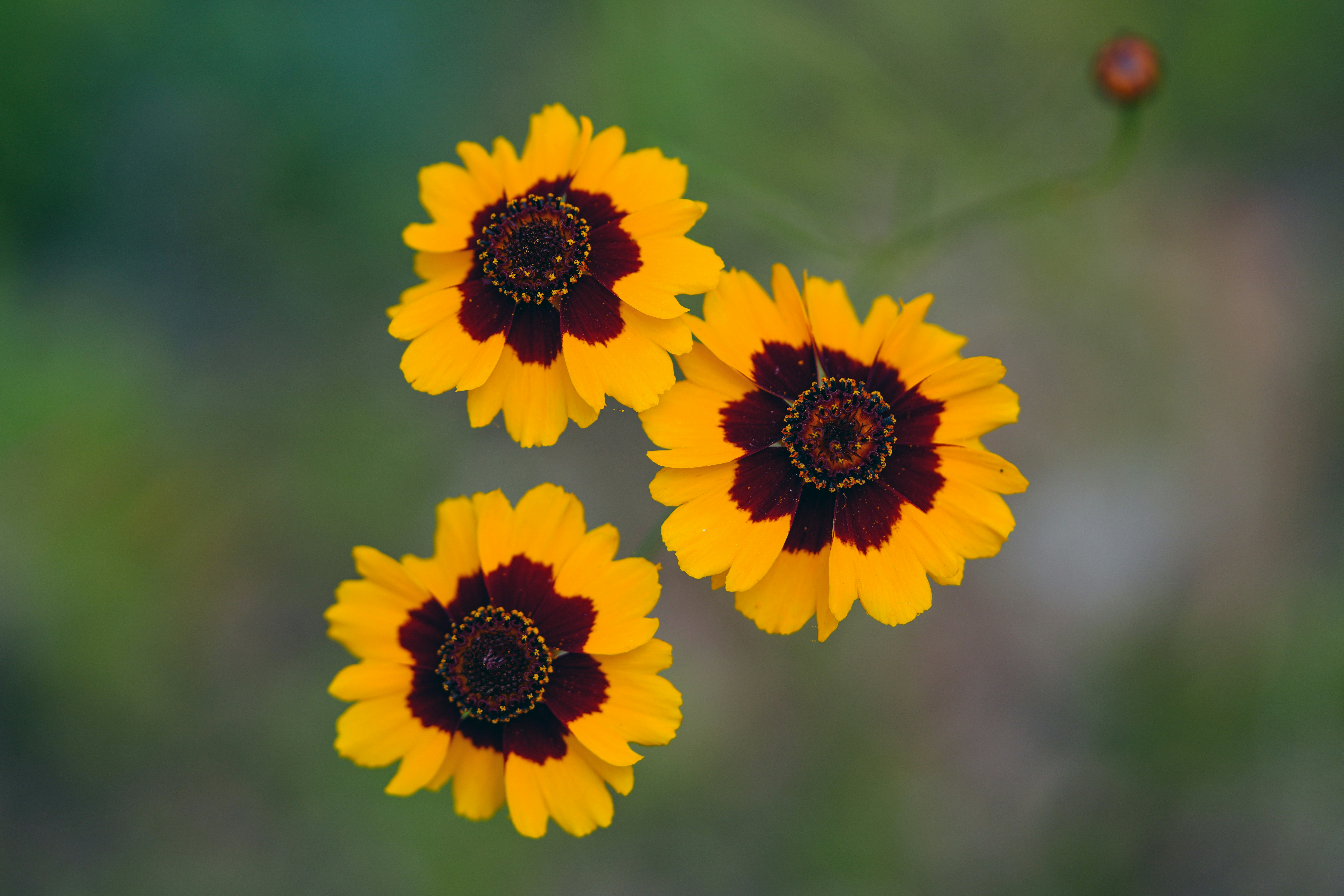 Photo by kim_dae_jeung