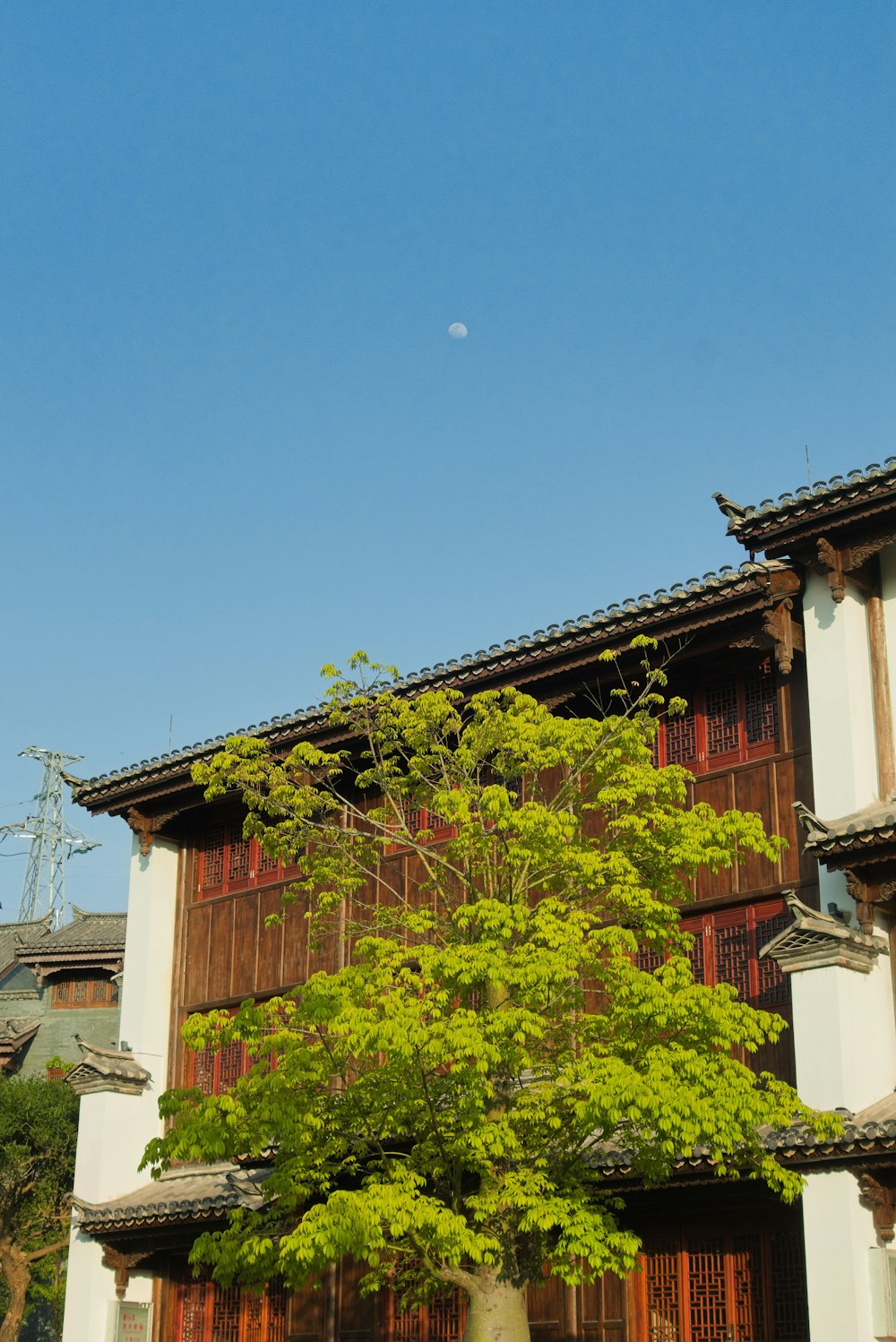 a tree in front of a building with a half moon in the sky