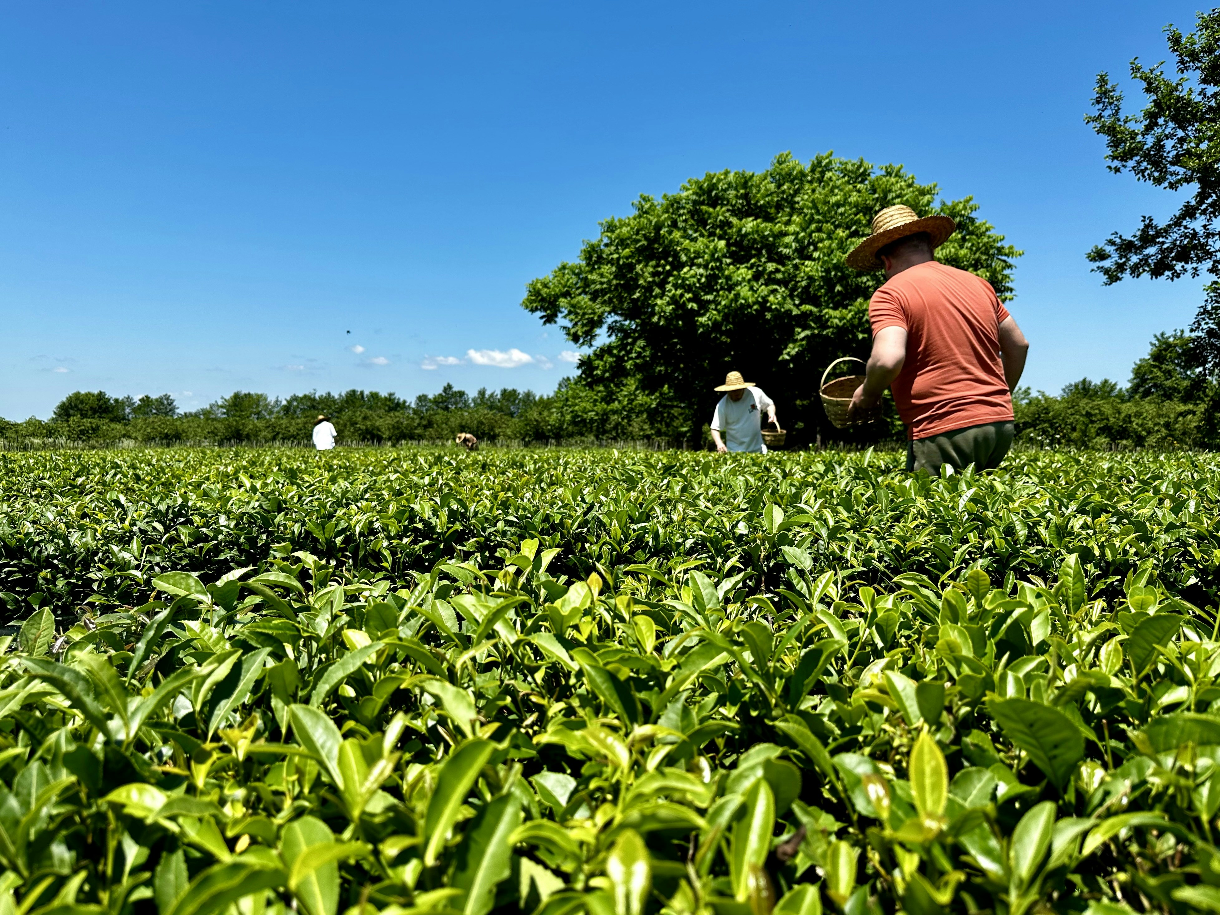 Photo by arslanbekov