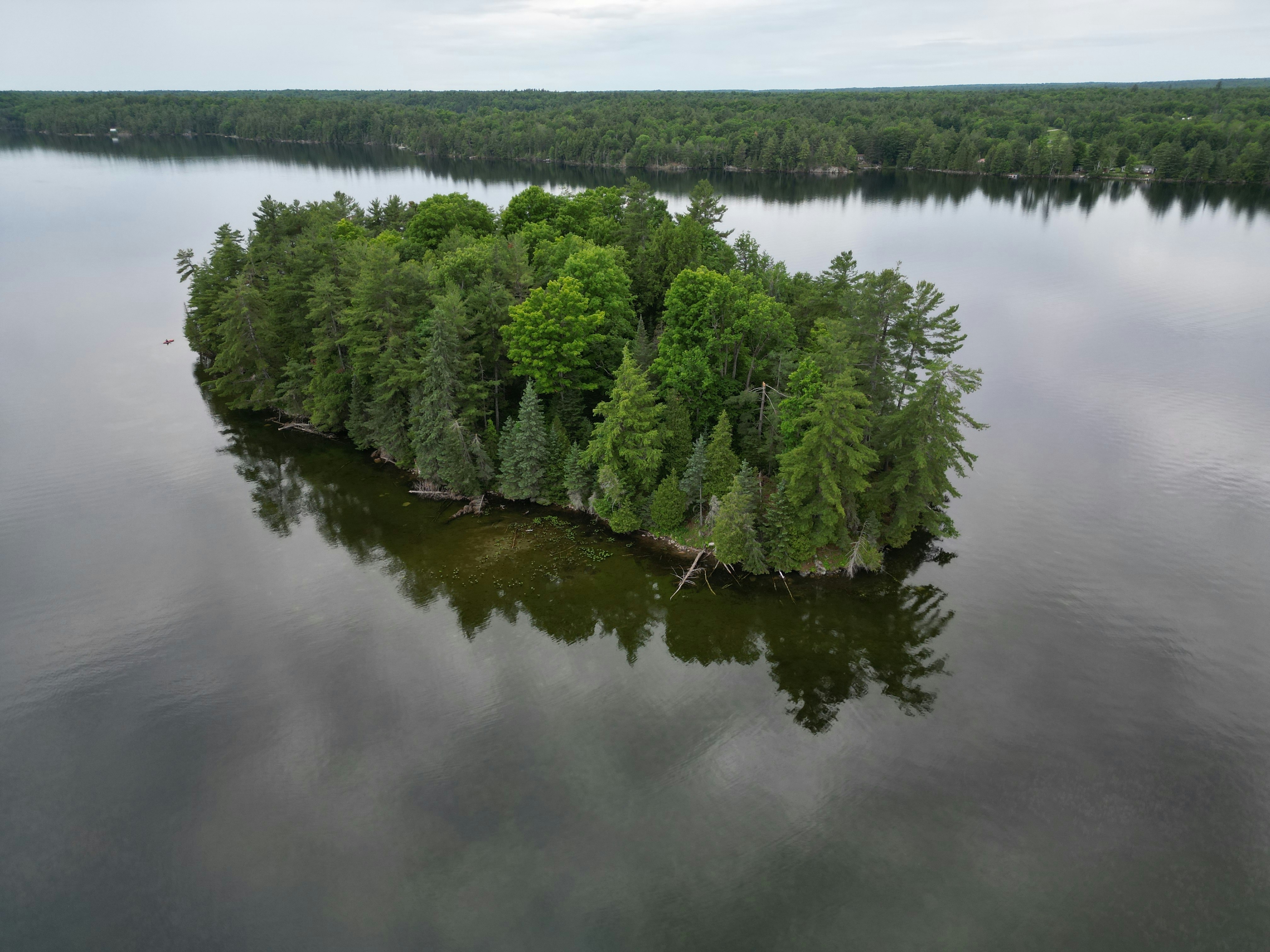 Photo by widowswail22