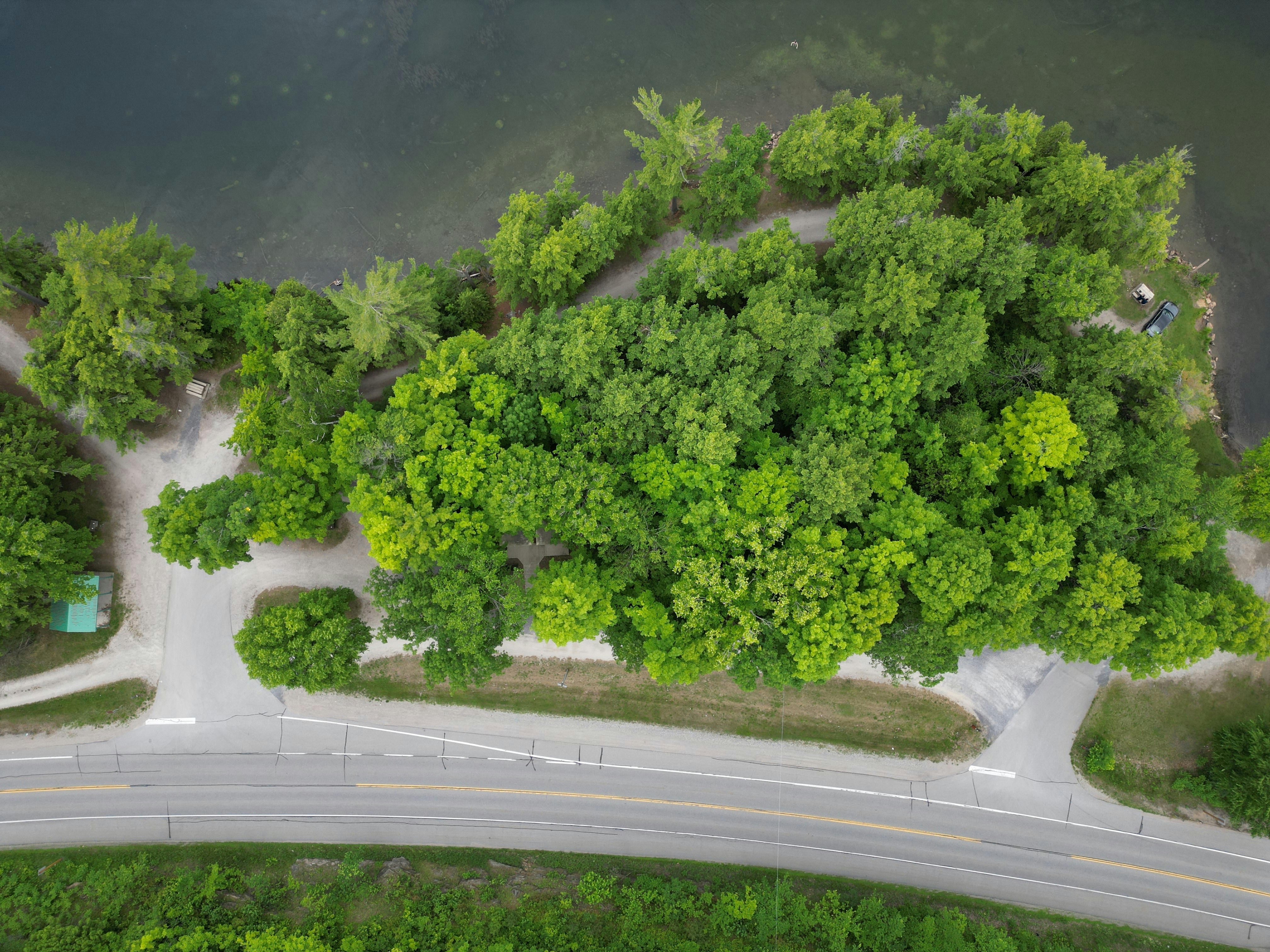 Photo by widowswail22