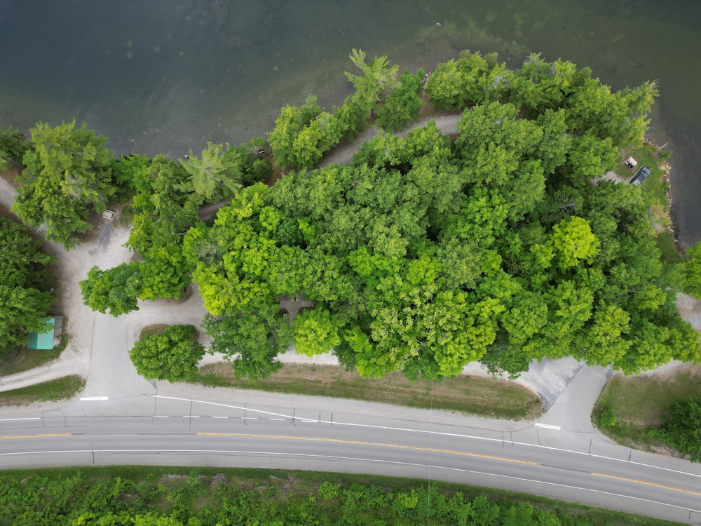 an aerial view of a road surrounded by trees