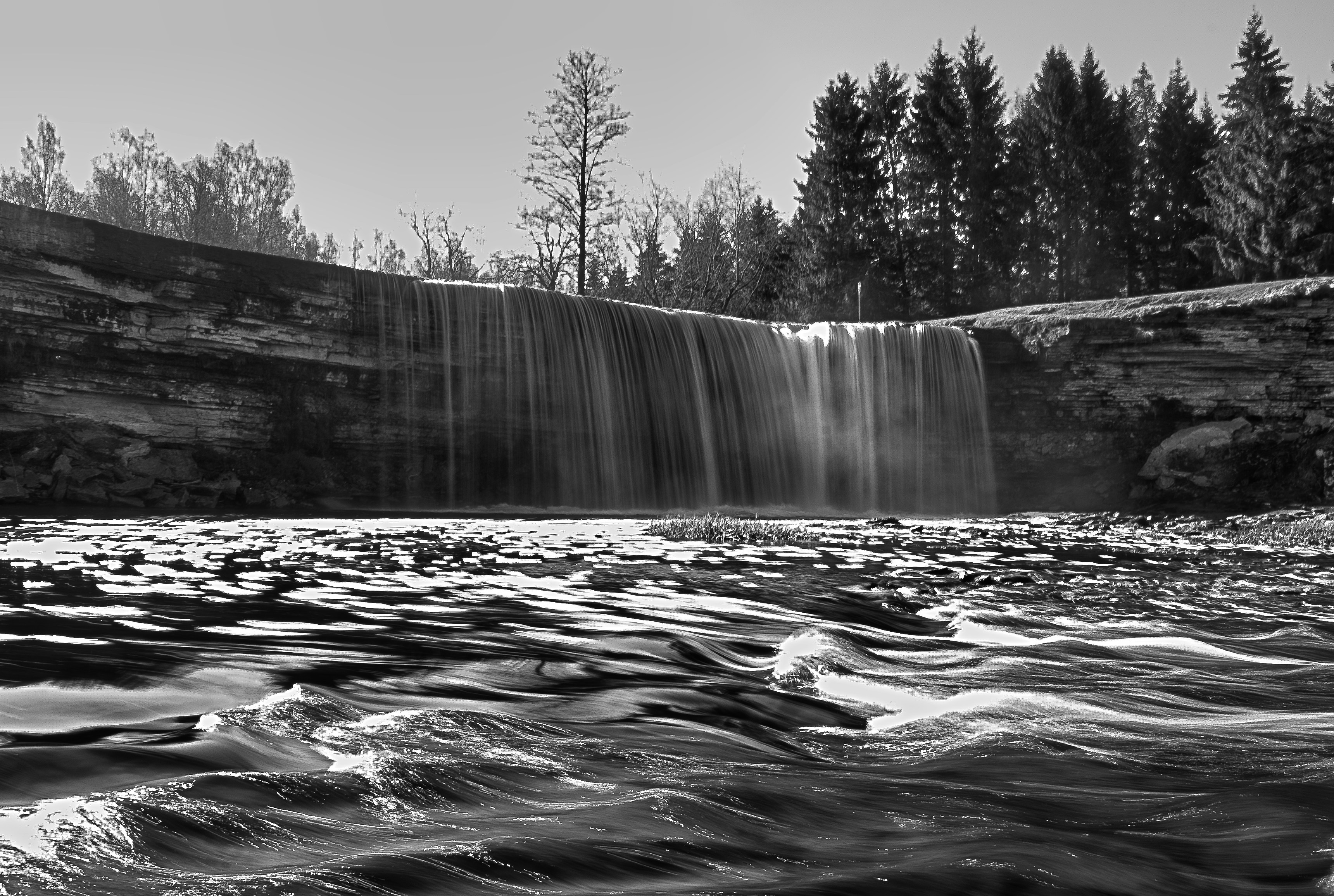 Photo by andruslukas