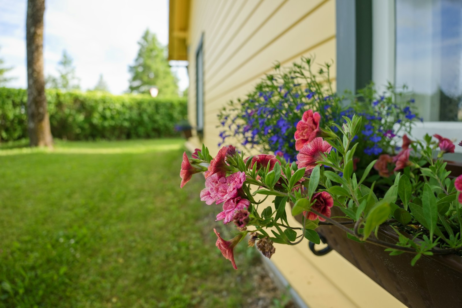 Is May the Best Time to Sell Your Home in Nova Scotia?