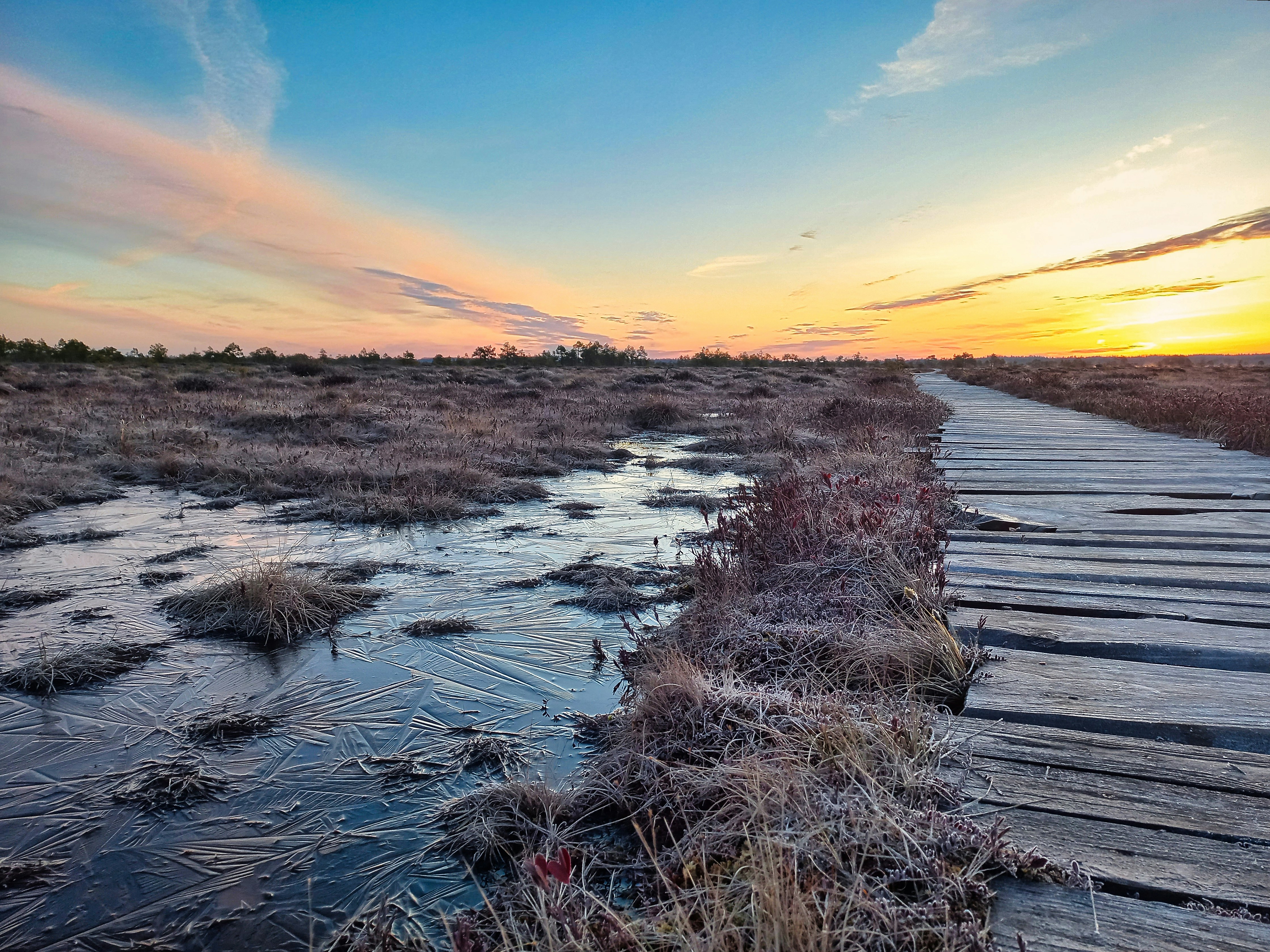 Photo by andruslukas