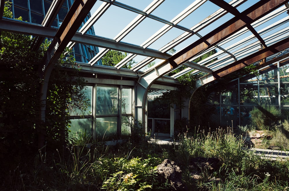 a greenhouse with lots of plants growing inside of it