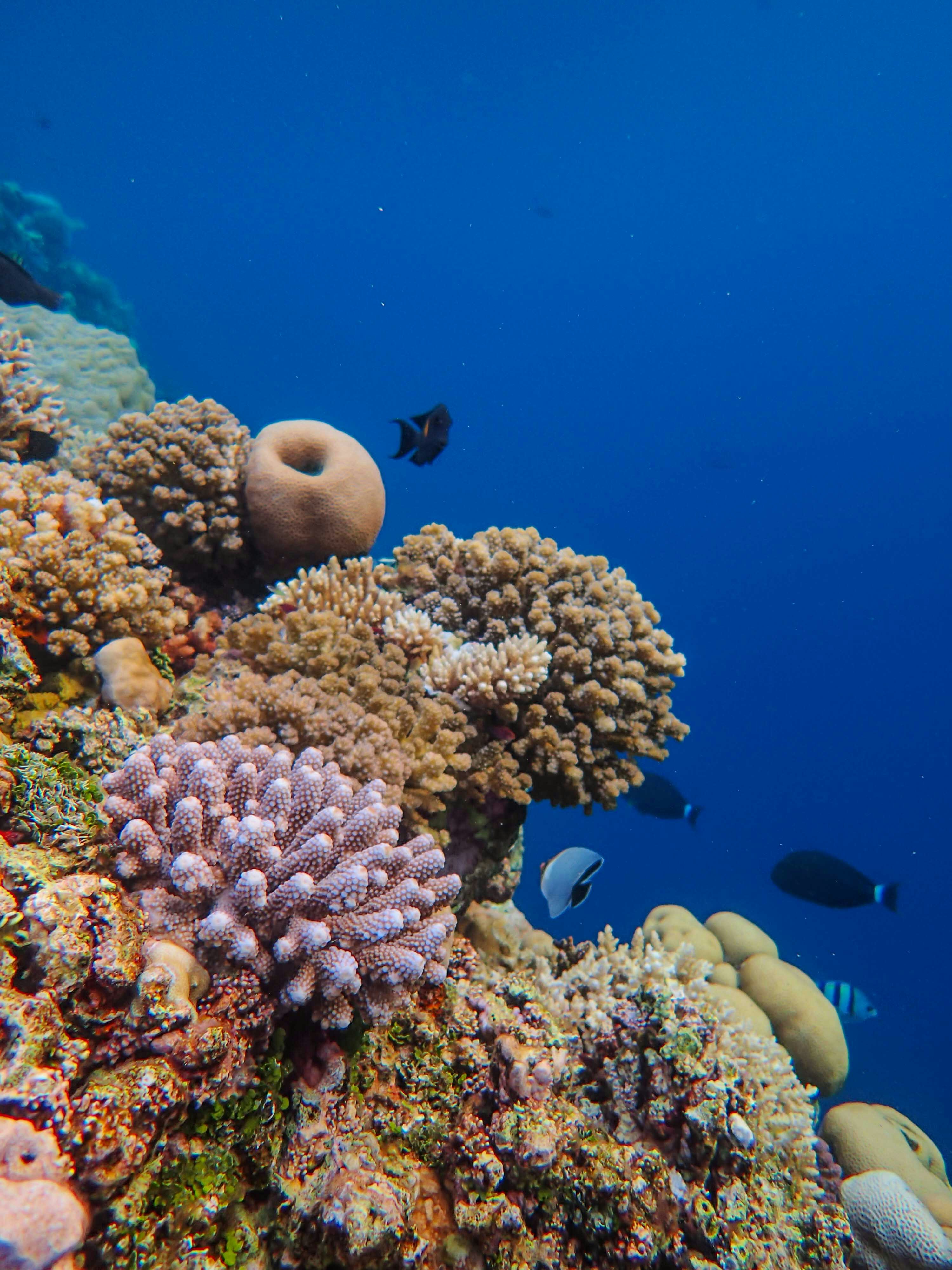 Photo by francesco_ungaro