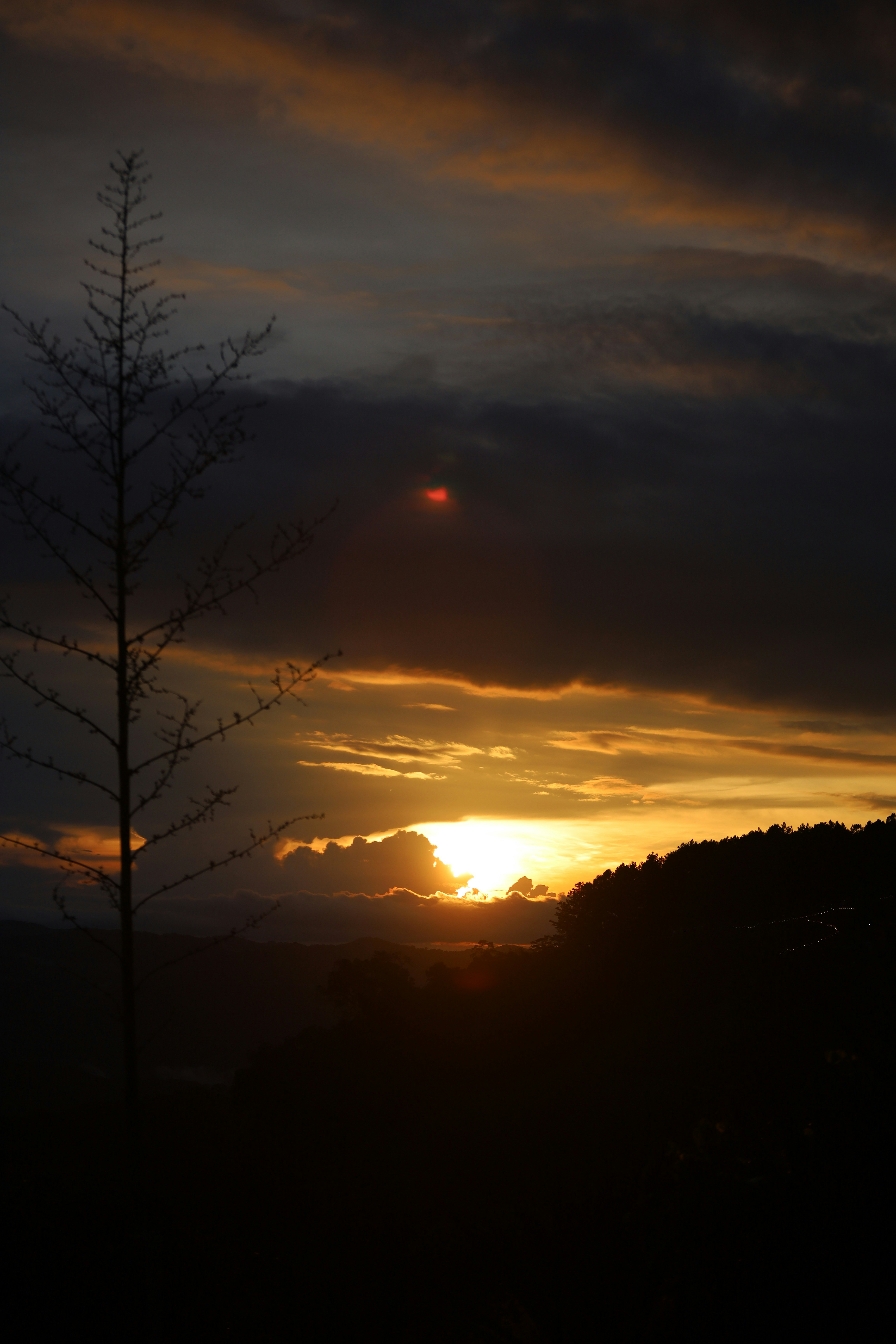 Photo by chuchu123456