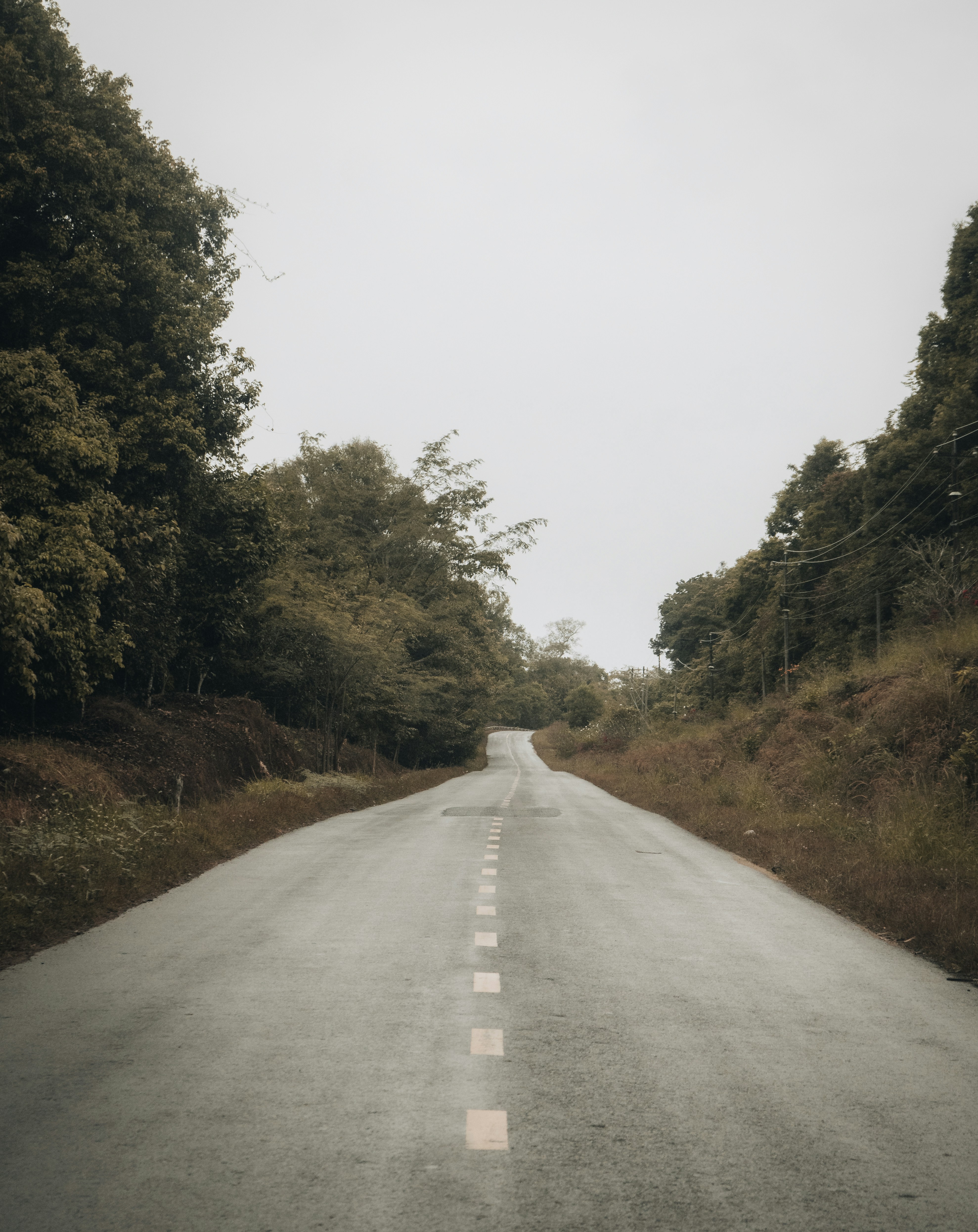 Photo by chuchu123456