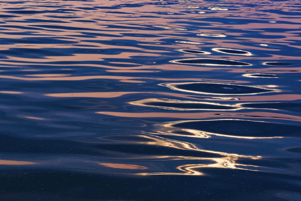 a body of water with ripples on it