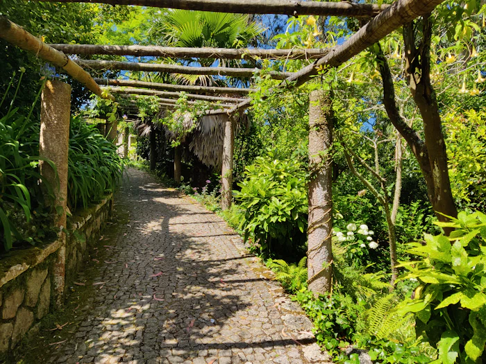 Walking Paths