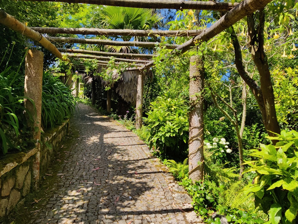 a stone path surrounded by trees and plants