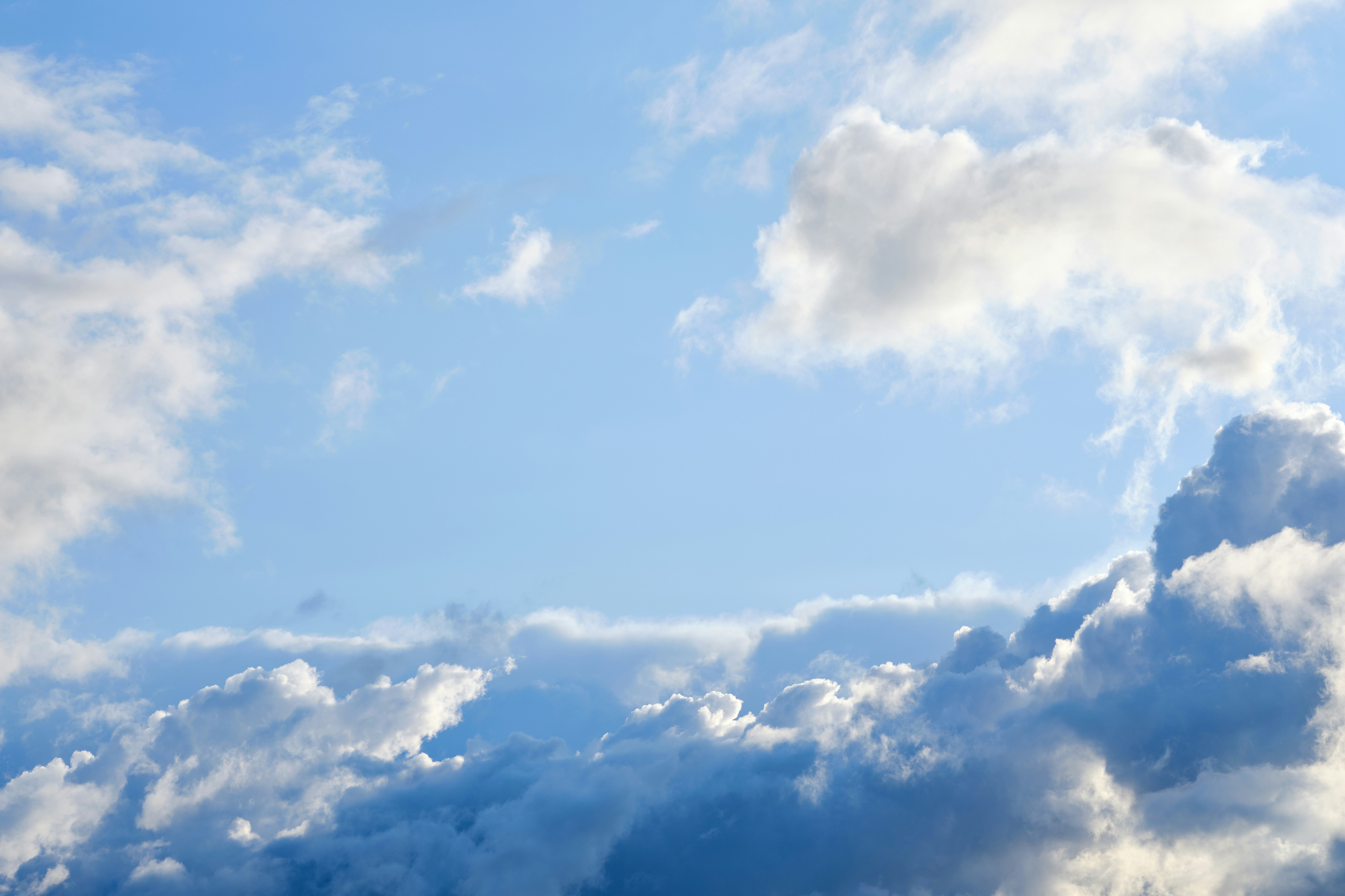 Photo by frostroomhead