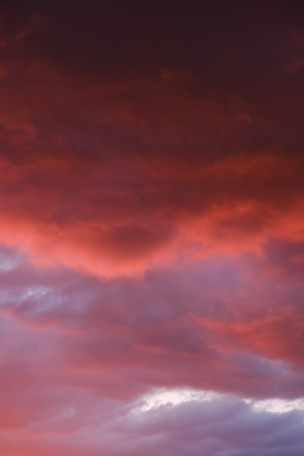 a plane flying in the sky at sunset