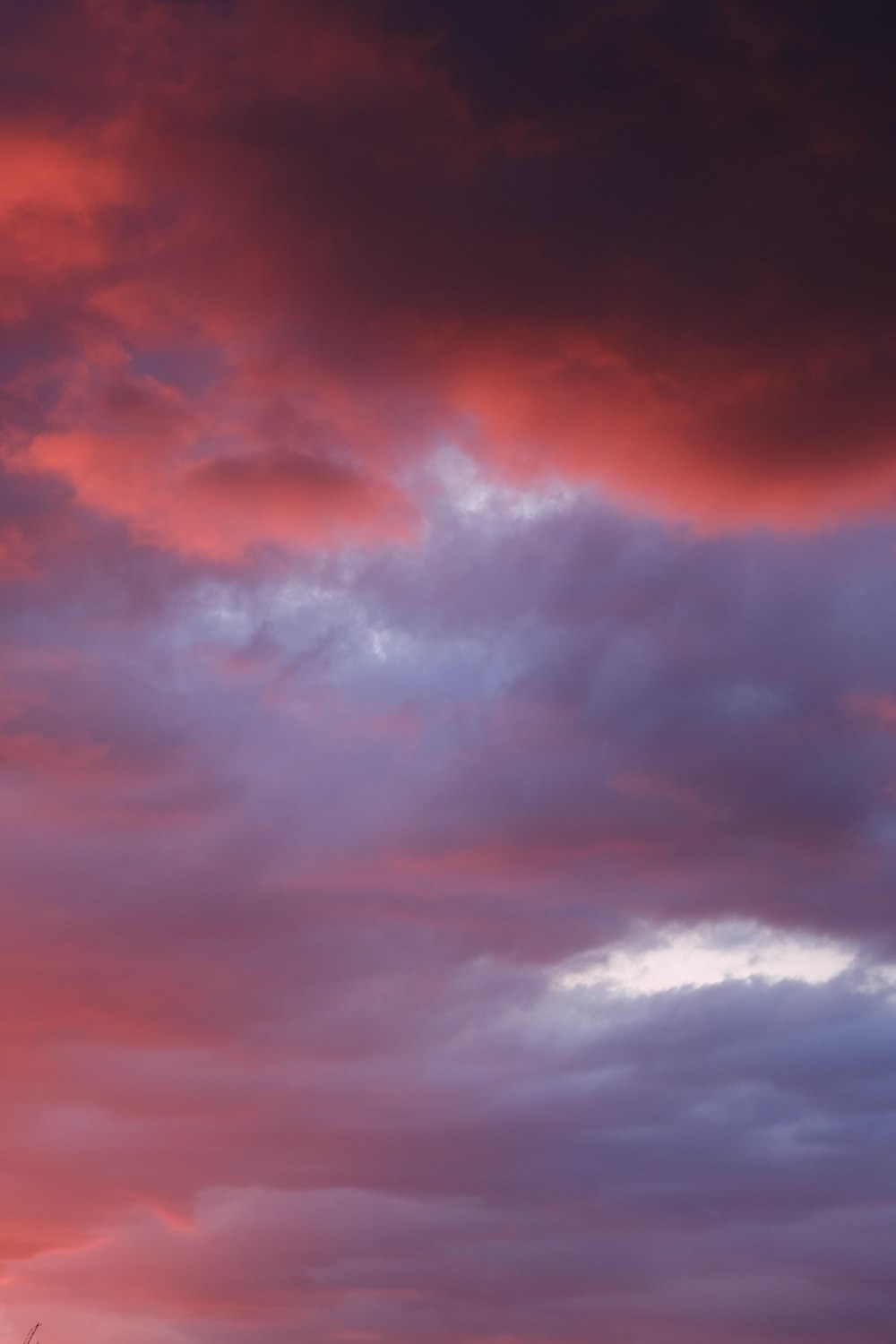 a plane flying in the sky at sunset