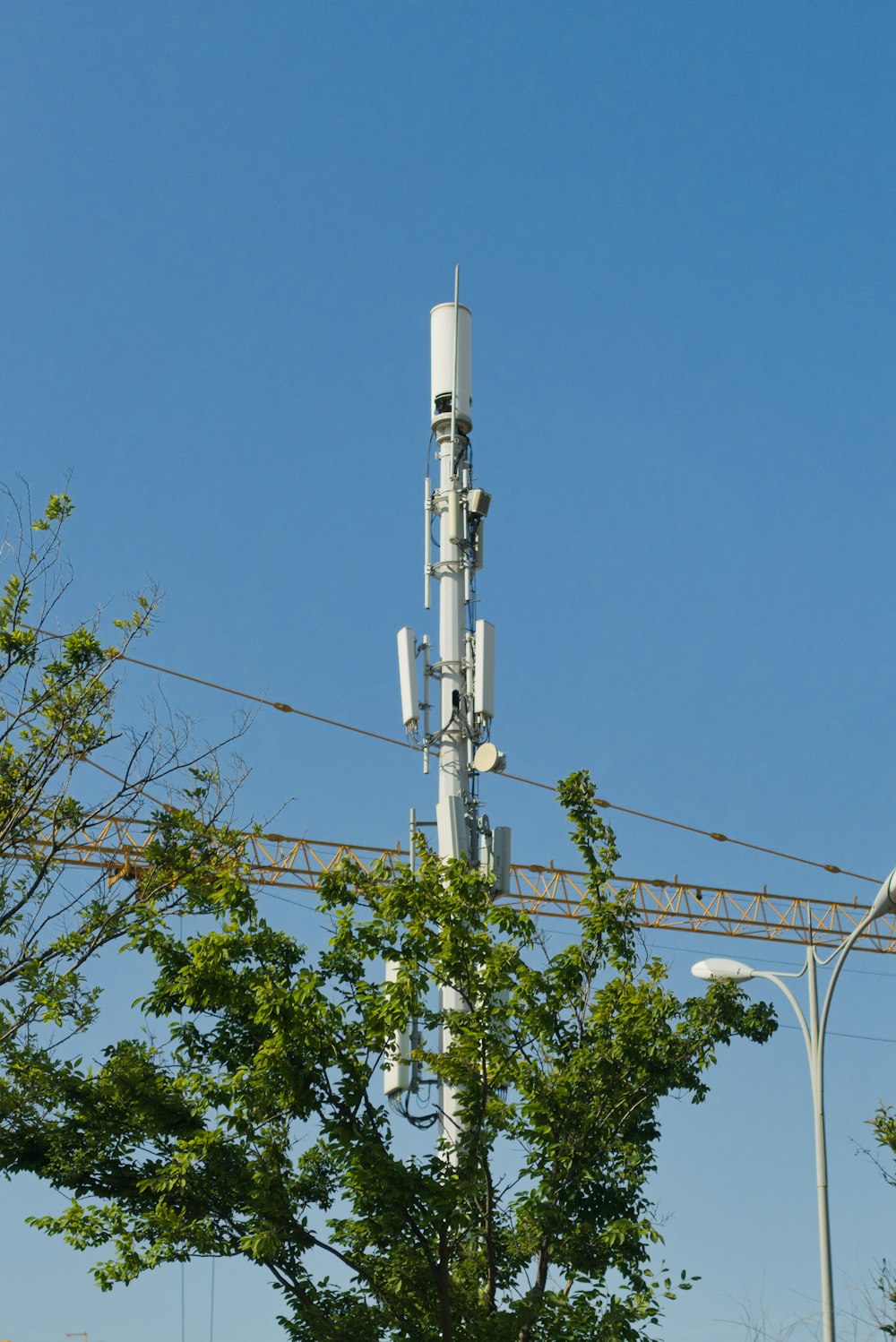 a cell phone tower sitting above a tree