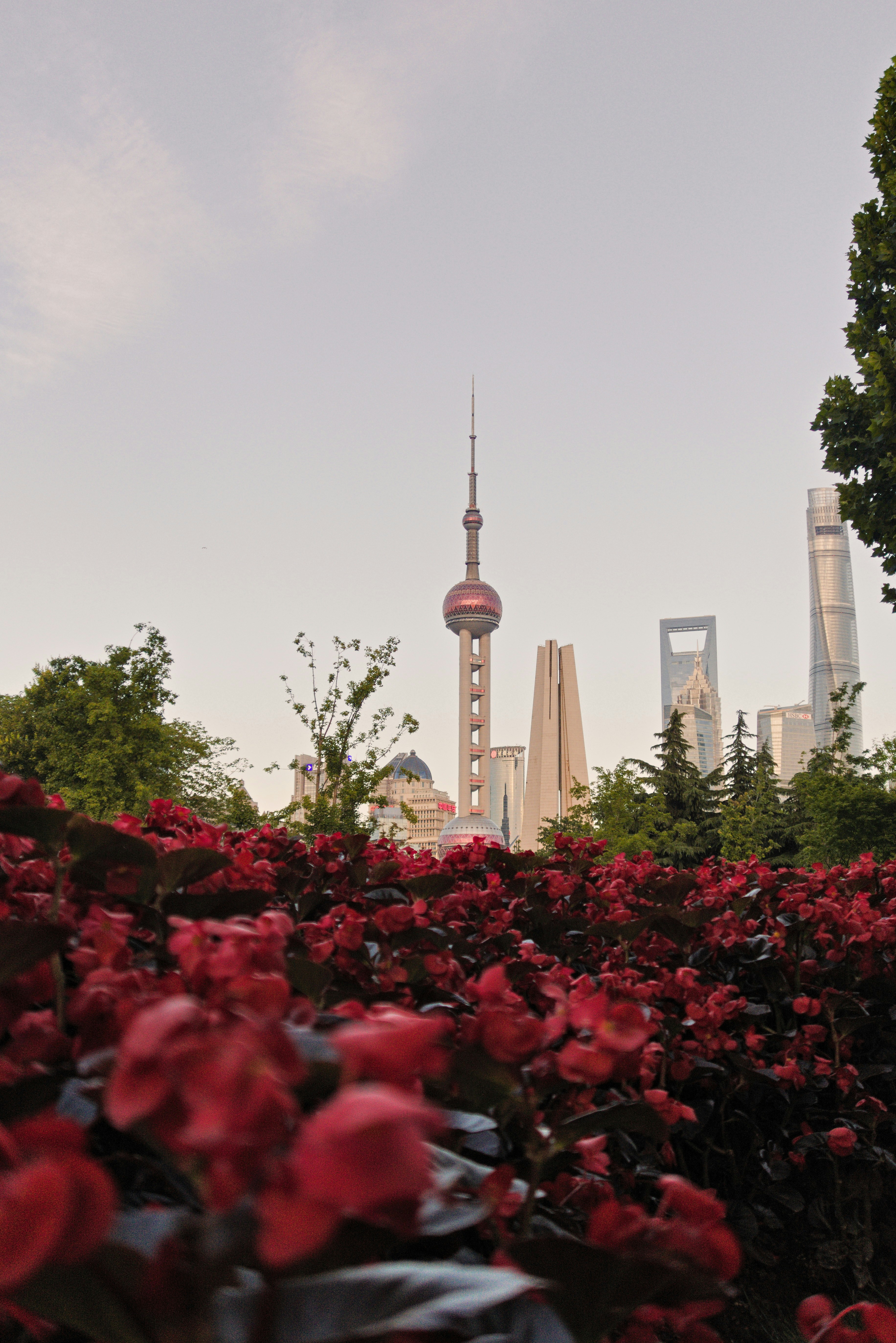 a view of a city from a flower garden