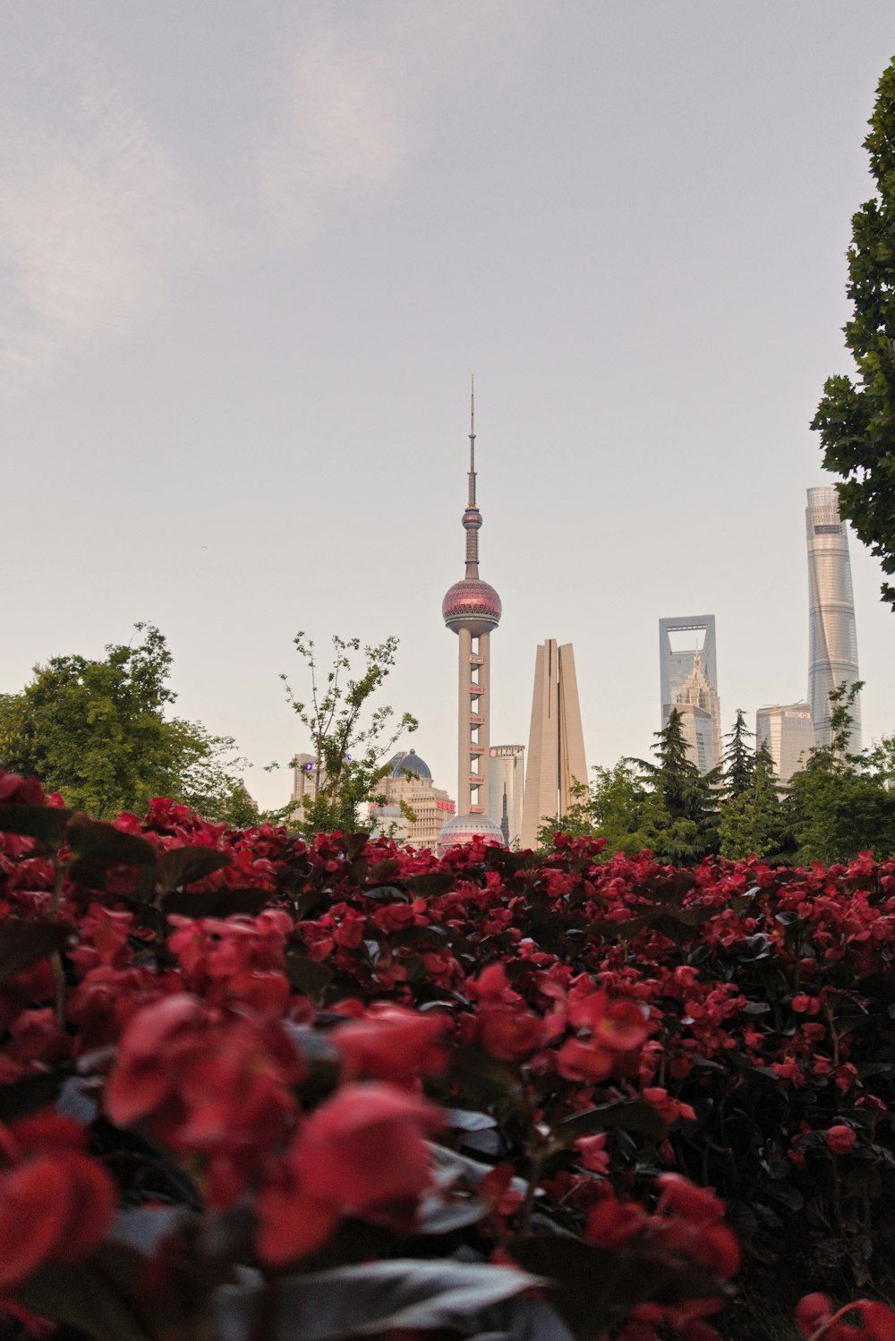 a view of a city from a flower garden
