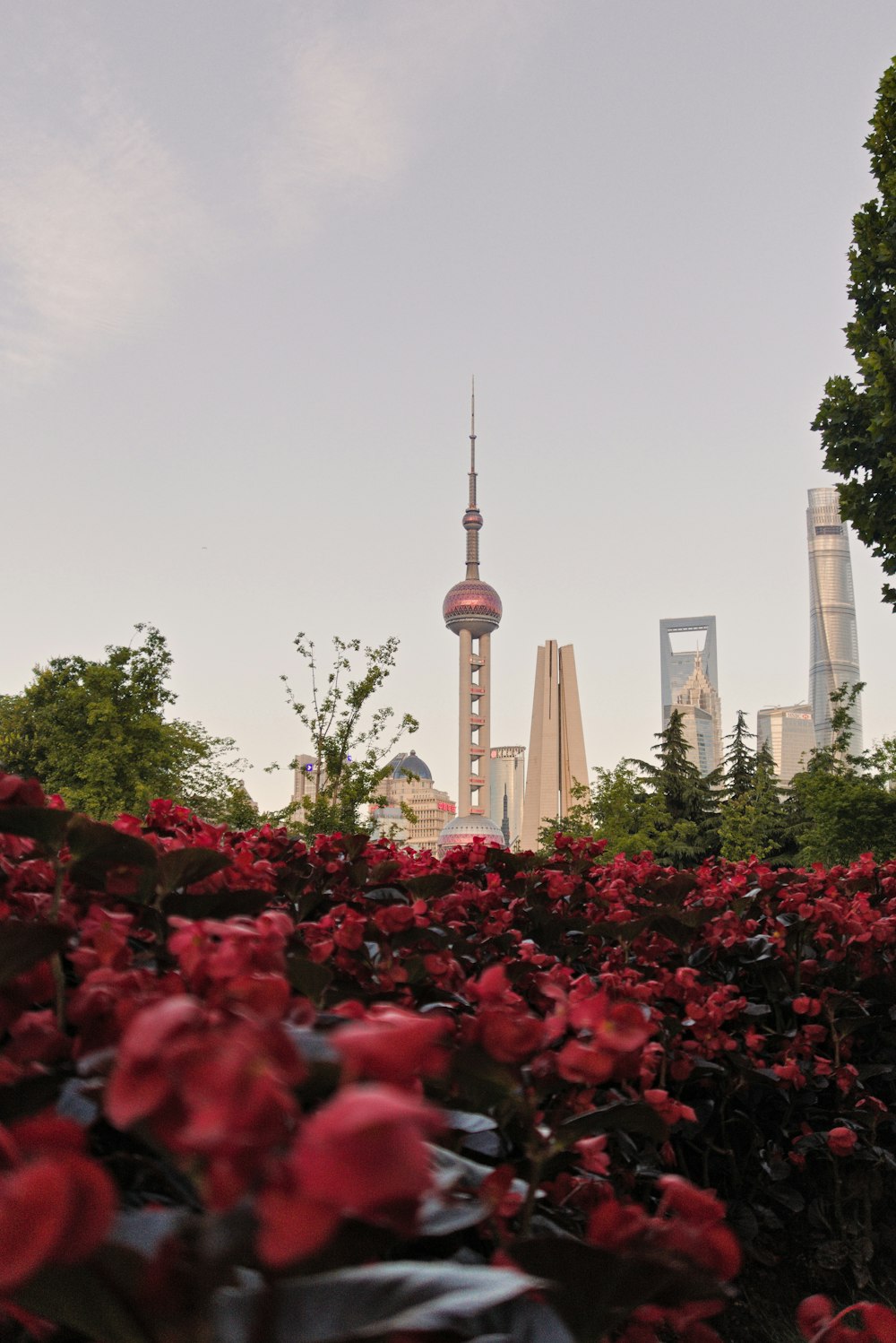 Una vista de una ciudad desde un jardín de flores