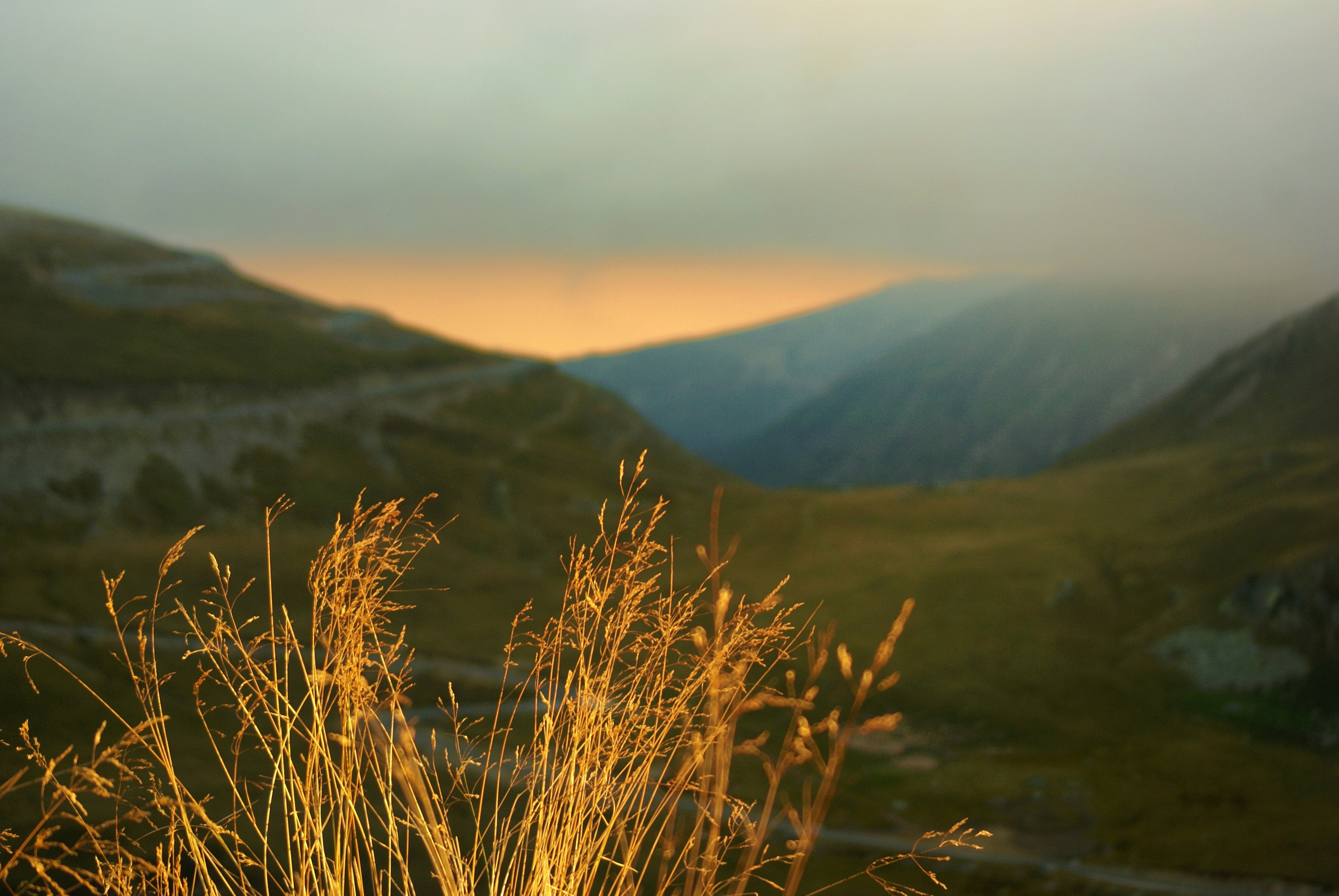 Photo by anamariavisuals