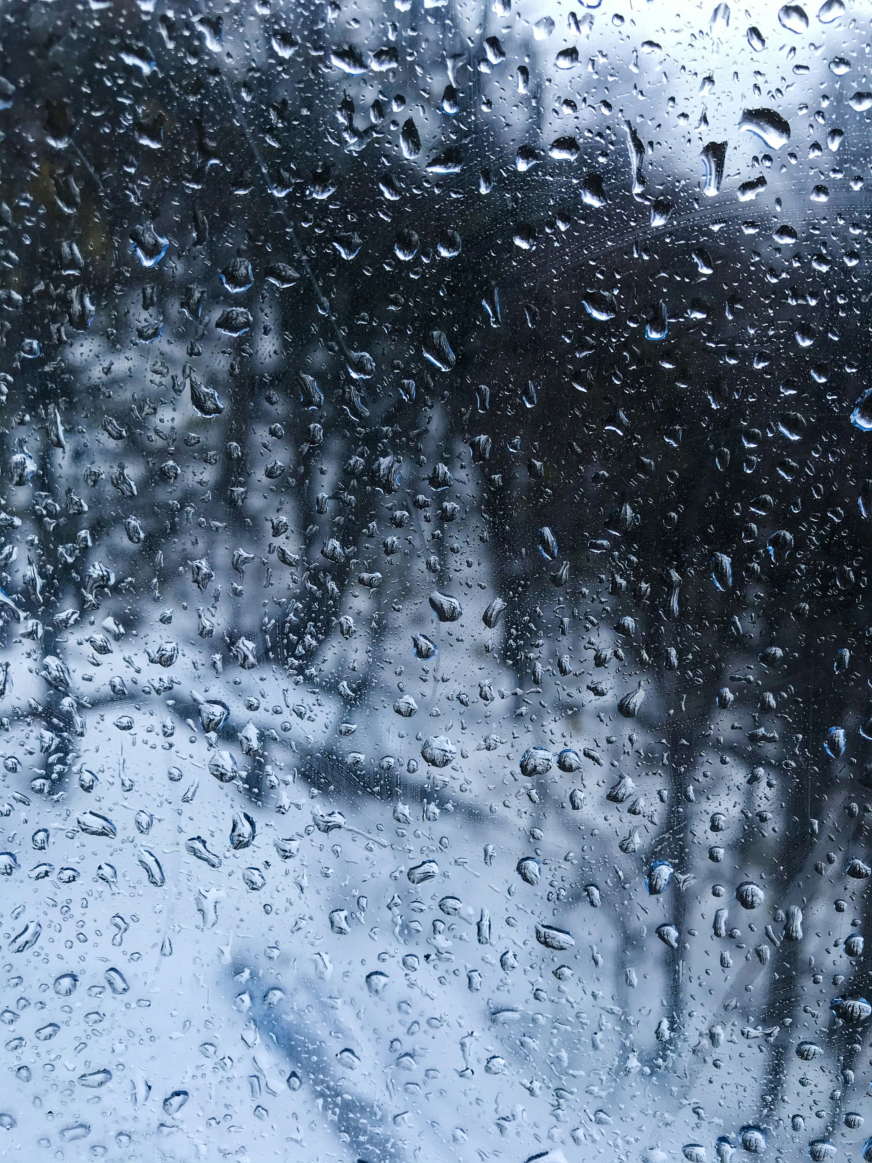 Photo by alexgarciafoto