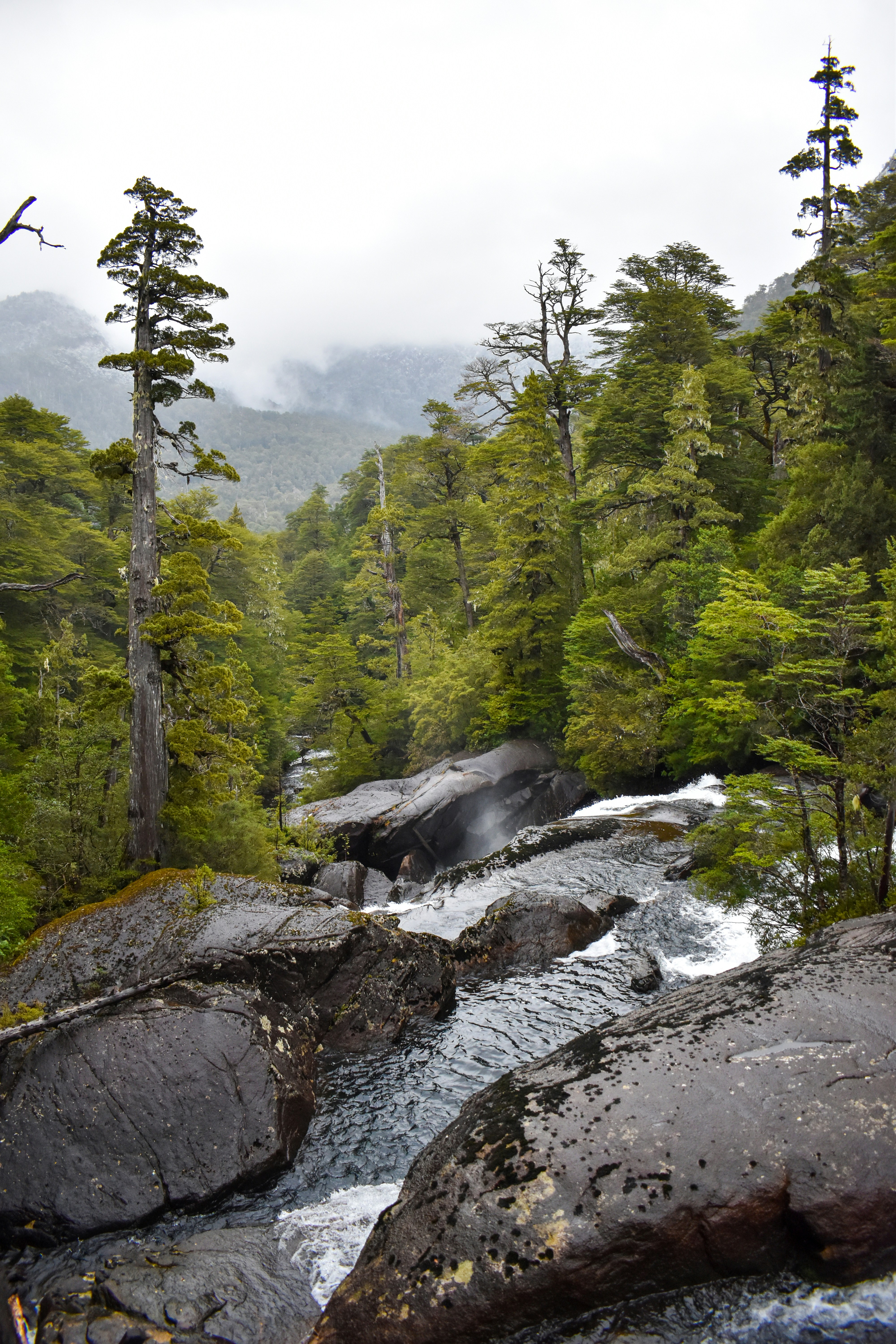 Photo by alexgarciafoto