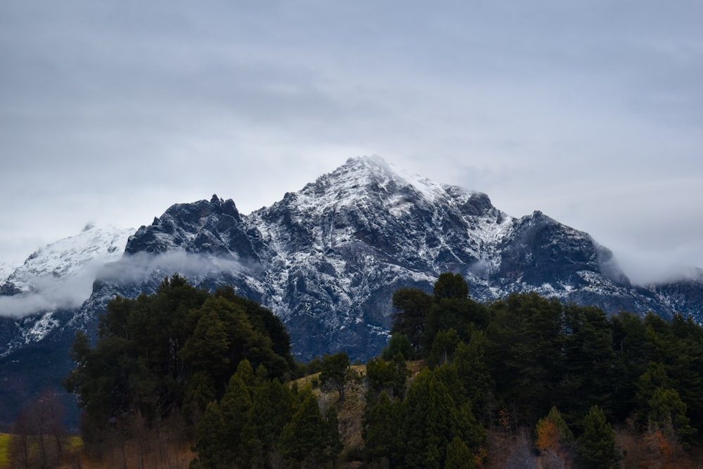 a snow covered mountain with trees in the foreground