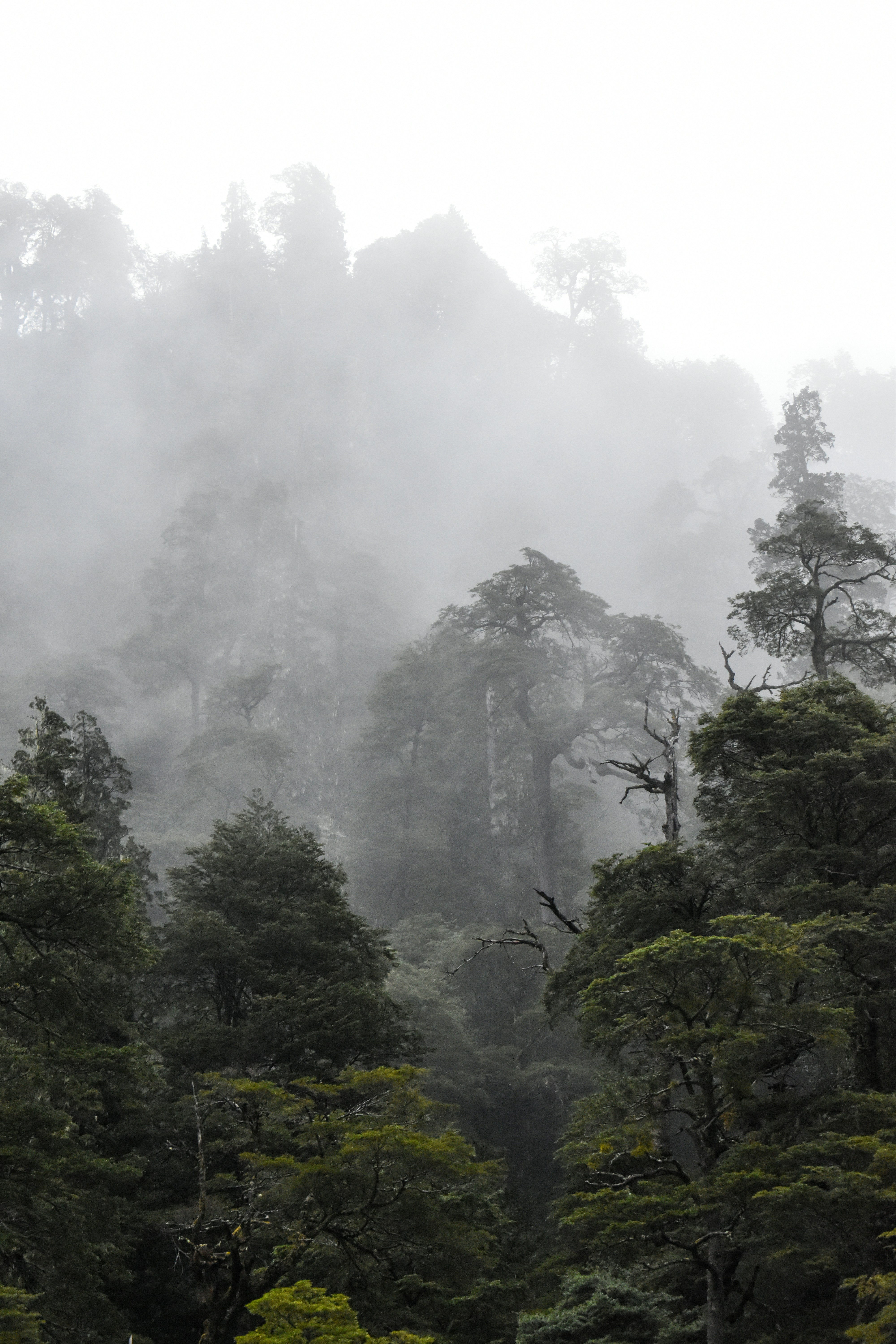 Photo by alexgarciafoto