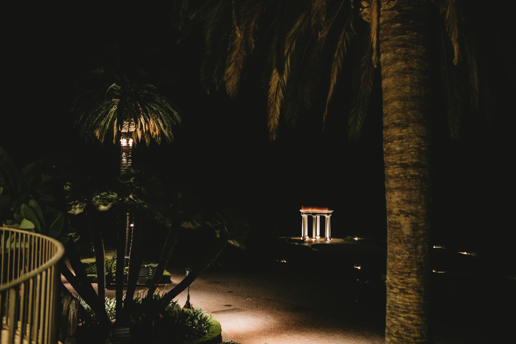 A palm tree lit from below at night beside a dark garden path