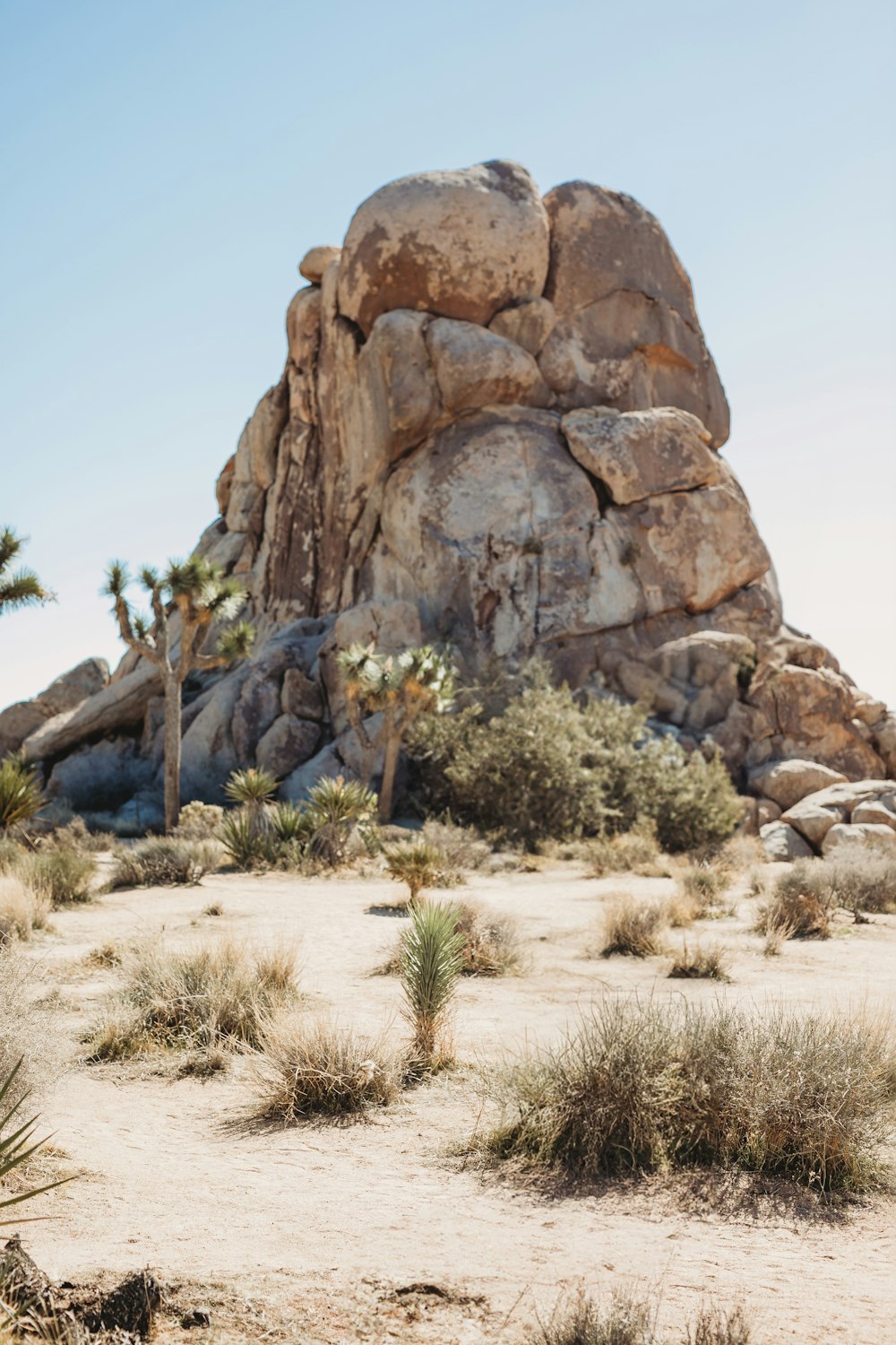 a large rock in the middle of a desert