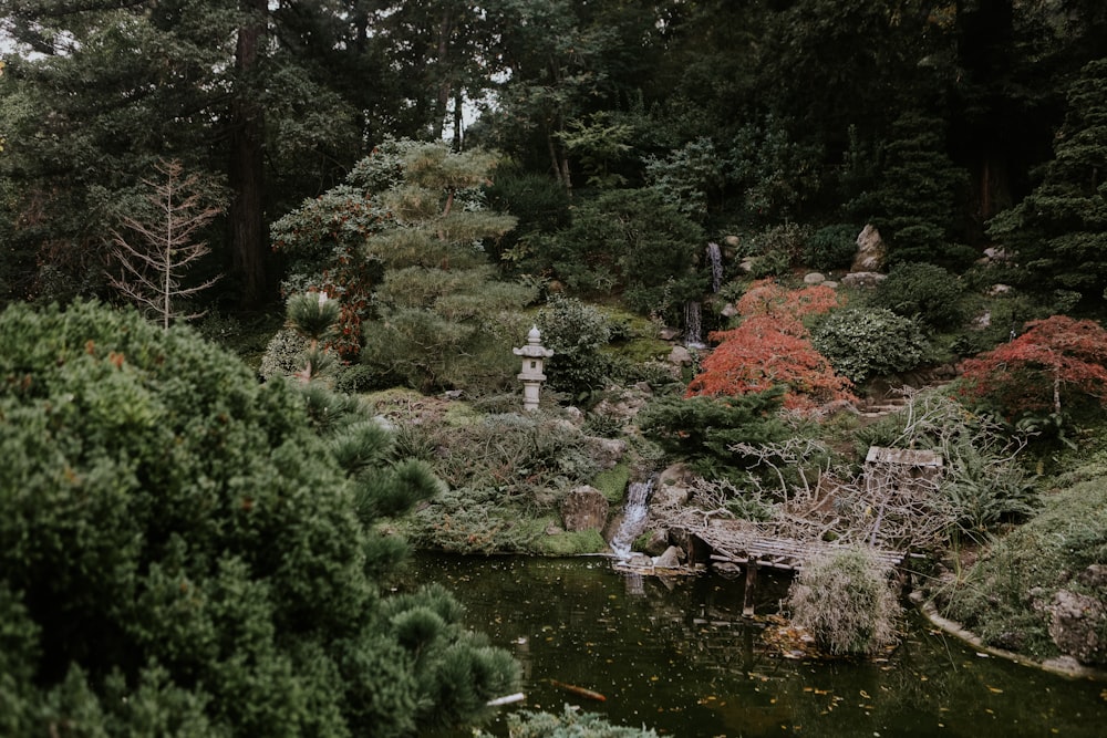 a small pond surrounded by trees and bushes