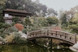 A serene Japanese garden with a red wooden bridge arching over a koi pond.