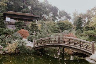 A serene Japanese garden with a traditional wooden bridge over a koi pond.